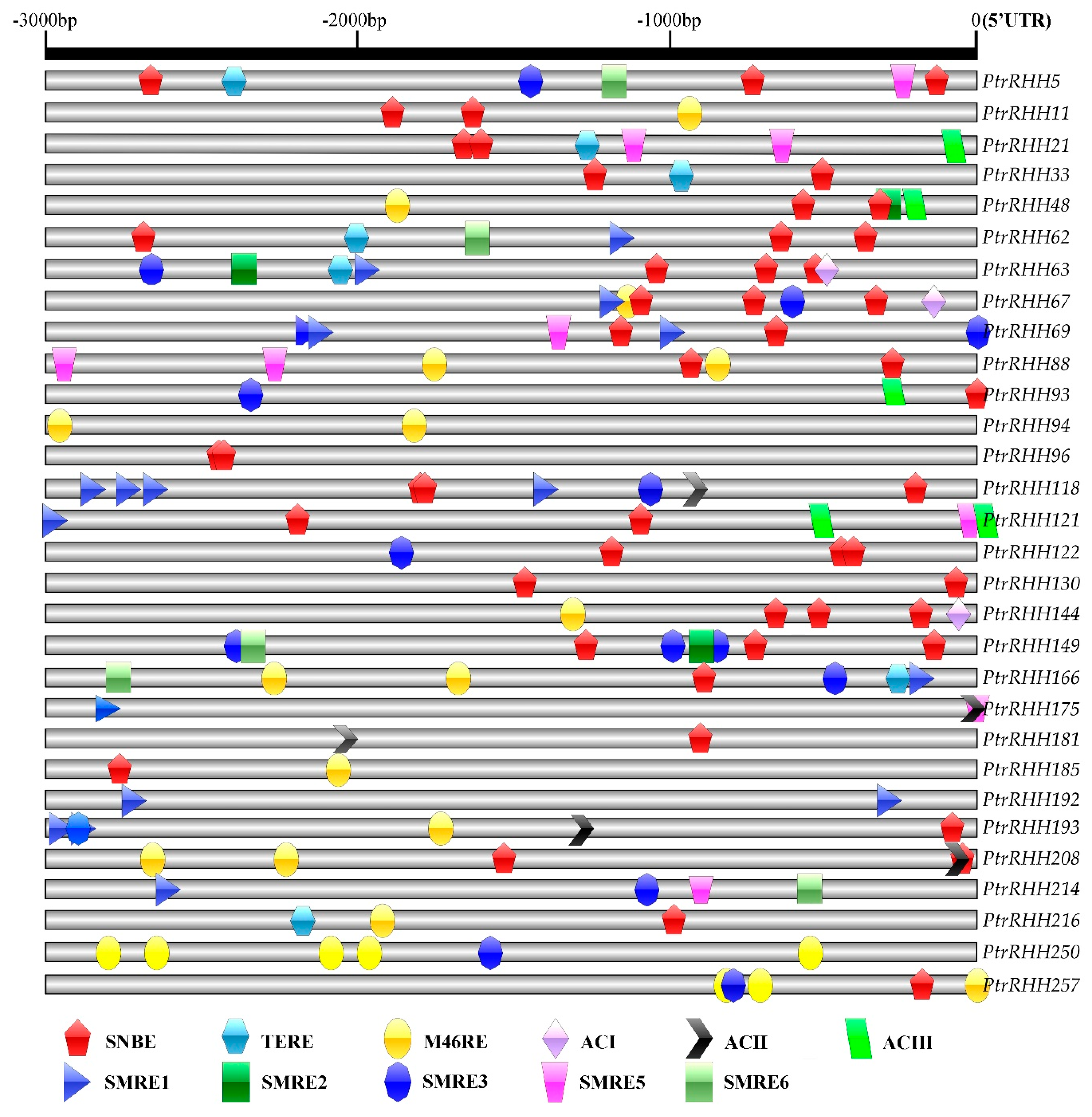 Forests 10 00698 g005