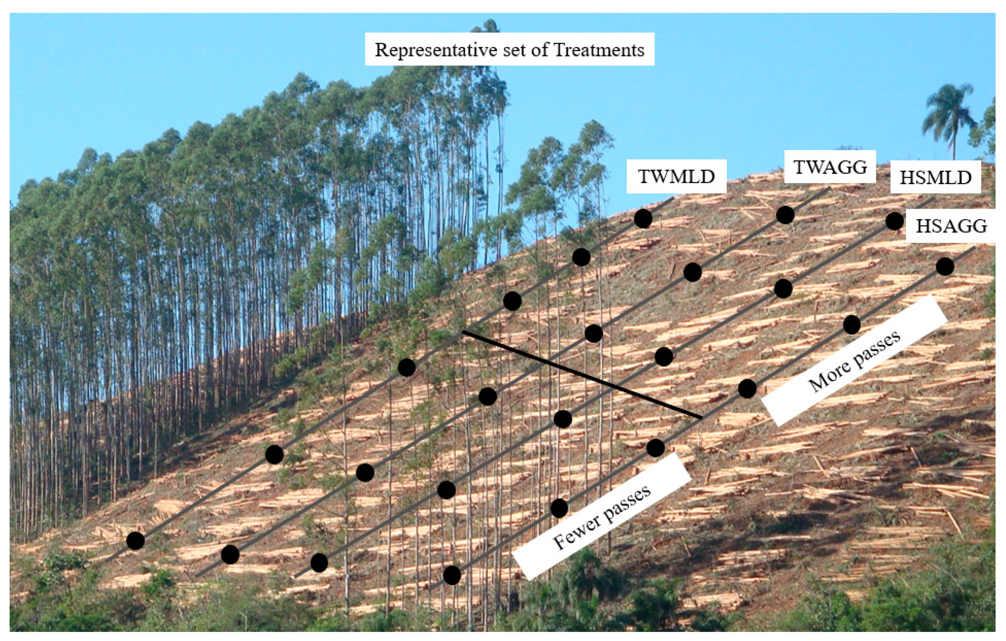 Forests 10 00721 g005
