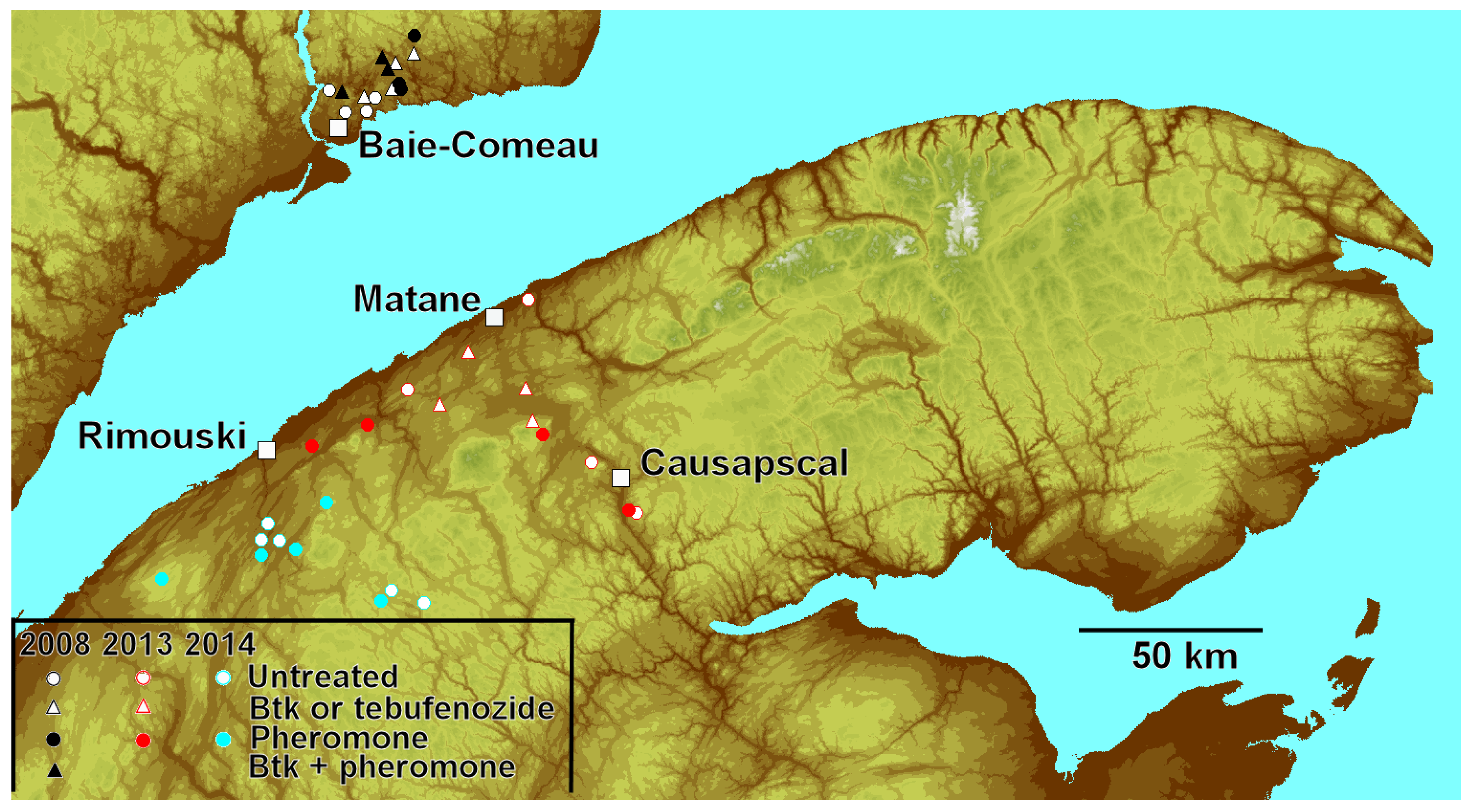 Forests 10 00775 g001