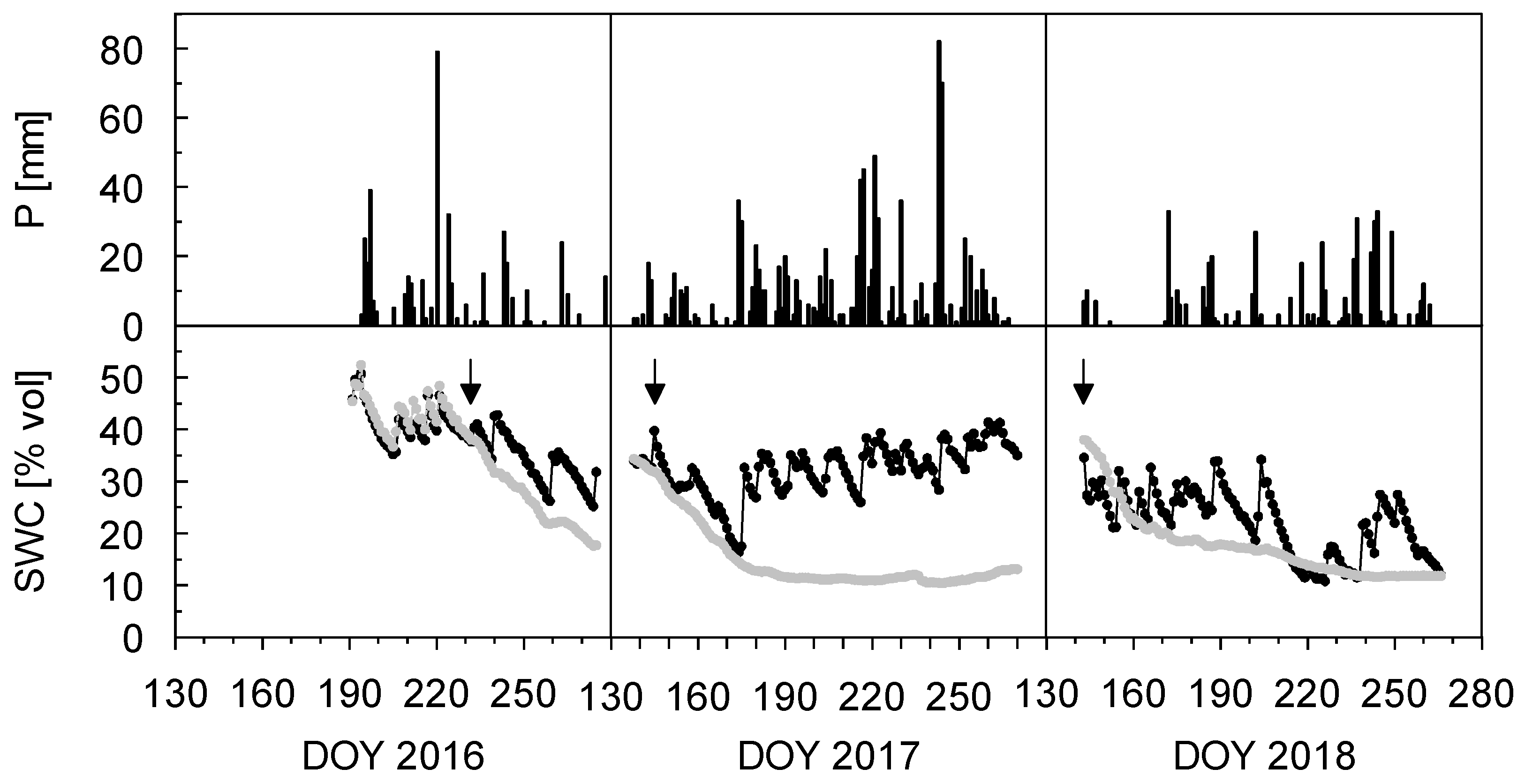 Forests 10 00777 g001