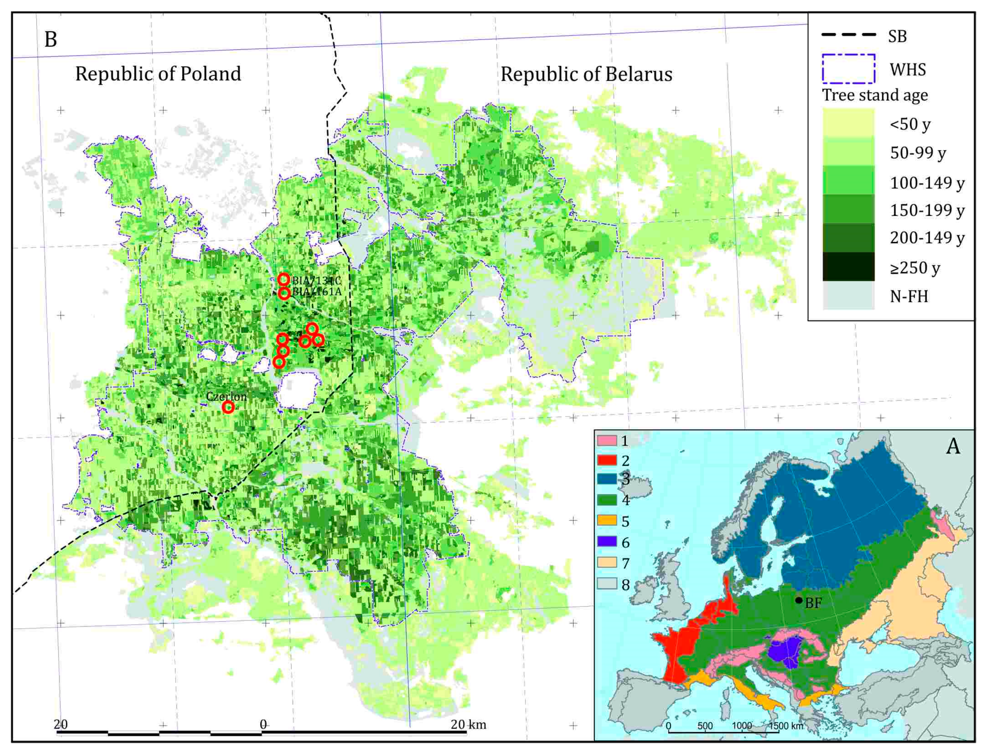 Forests | Free Full-Text | Białowieża Forest—A Relic of the High  Naturalness of European Forests