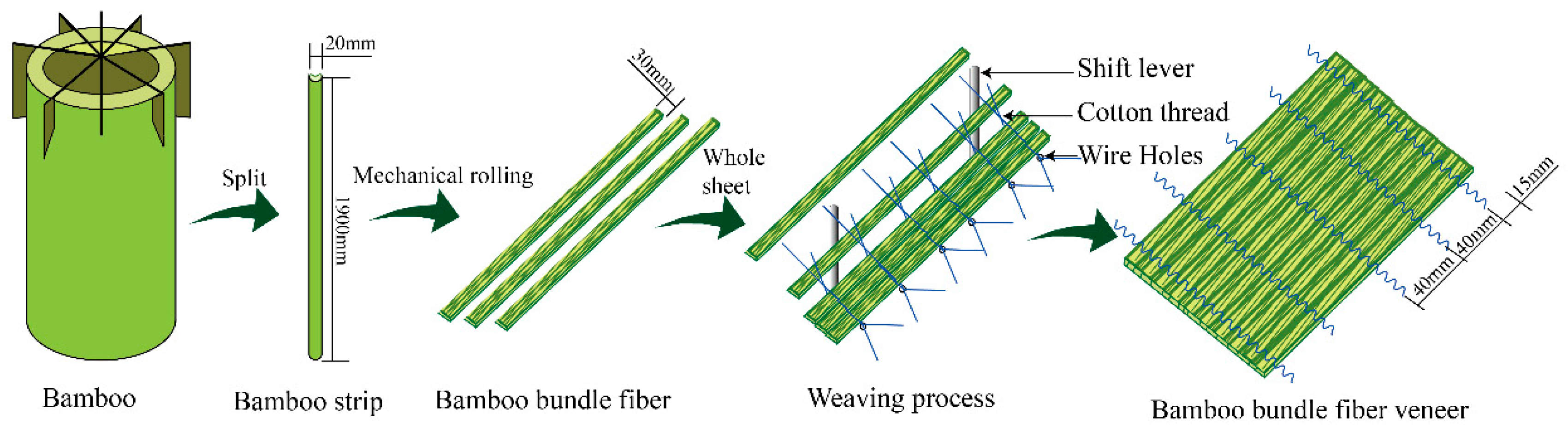 Bamboo node effect on the tensile properties of side press-laminated bamboo  lumber