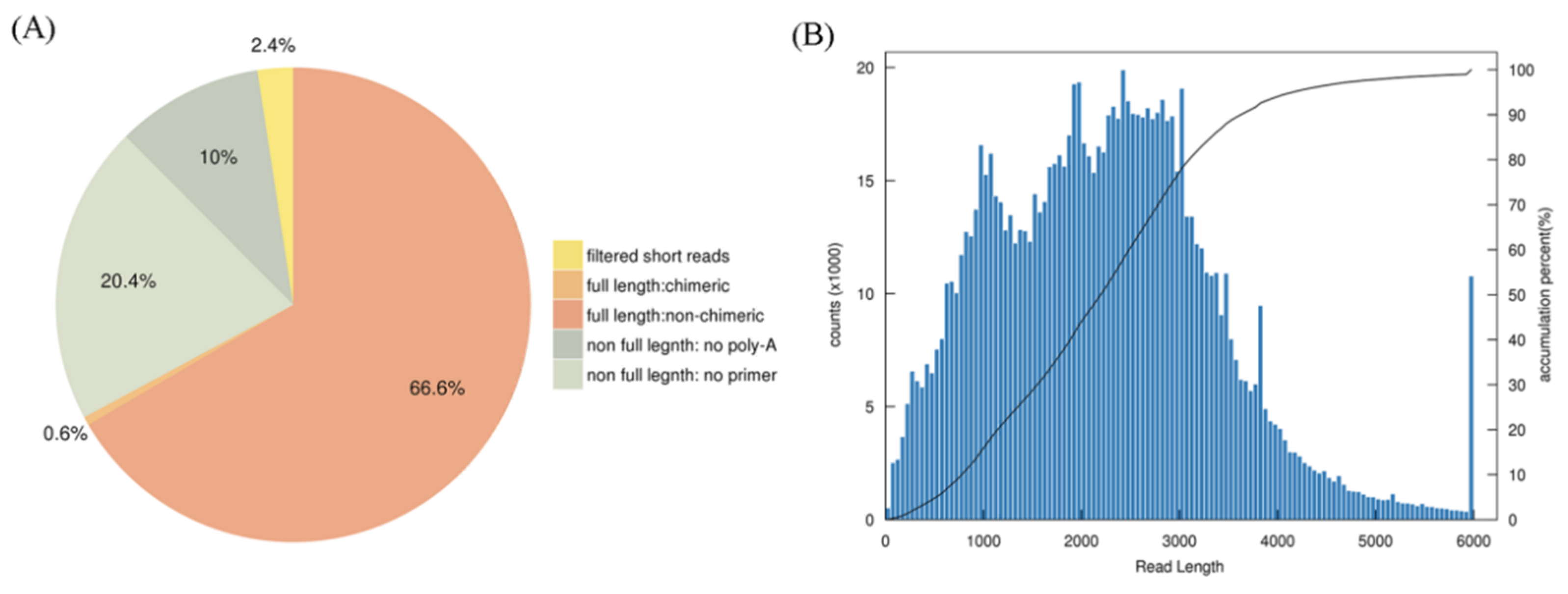 Forests 10 00942 g001