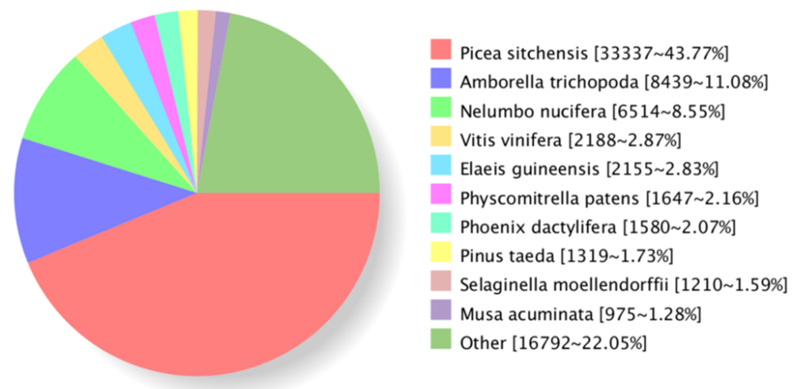 Forests 10 00942 g002