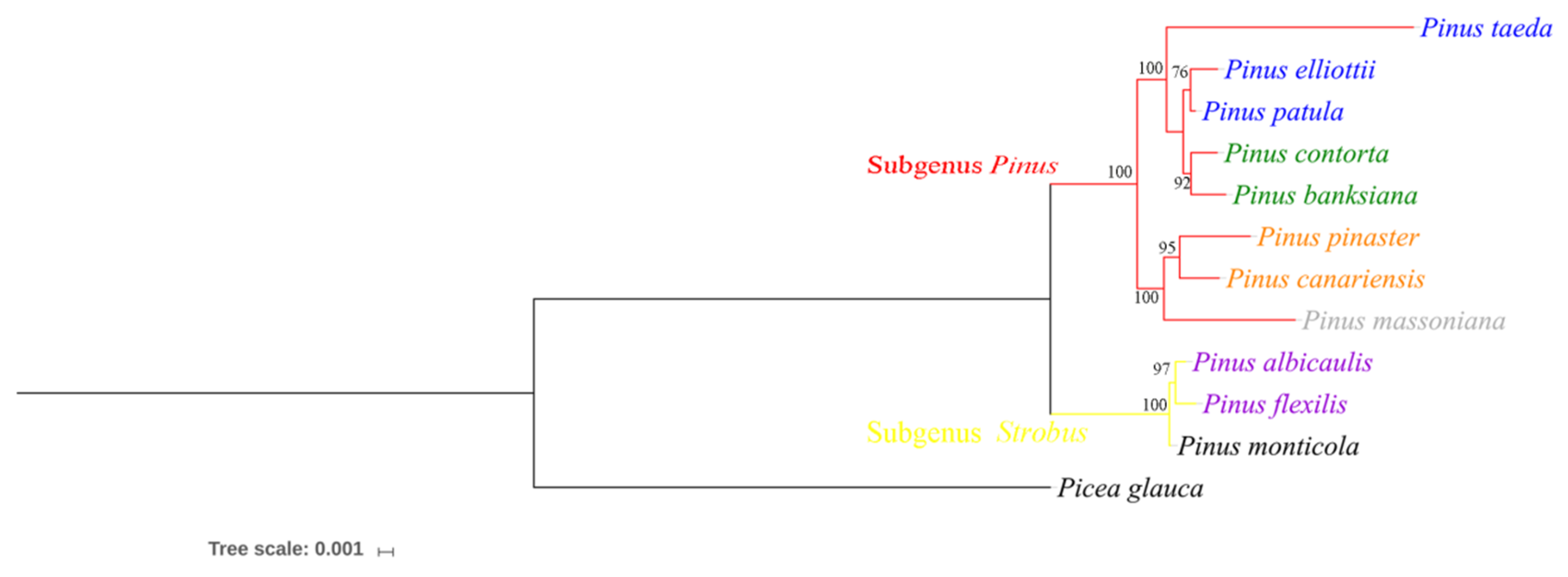 Forests 10 00942 g004