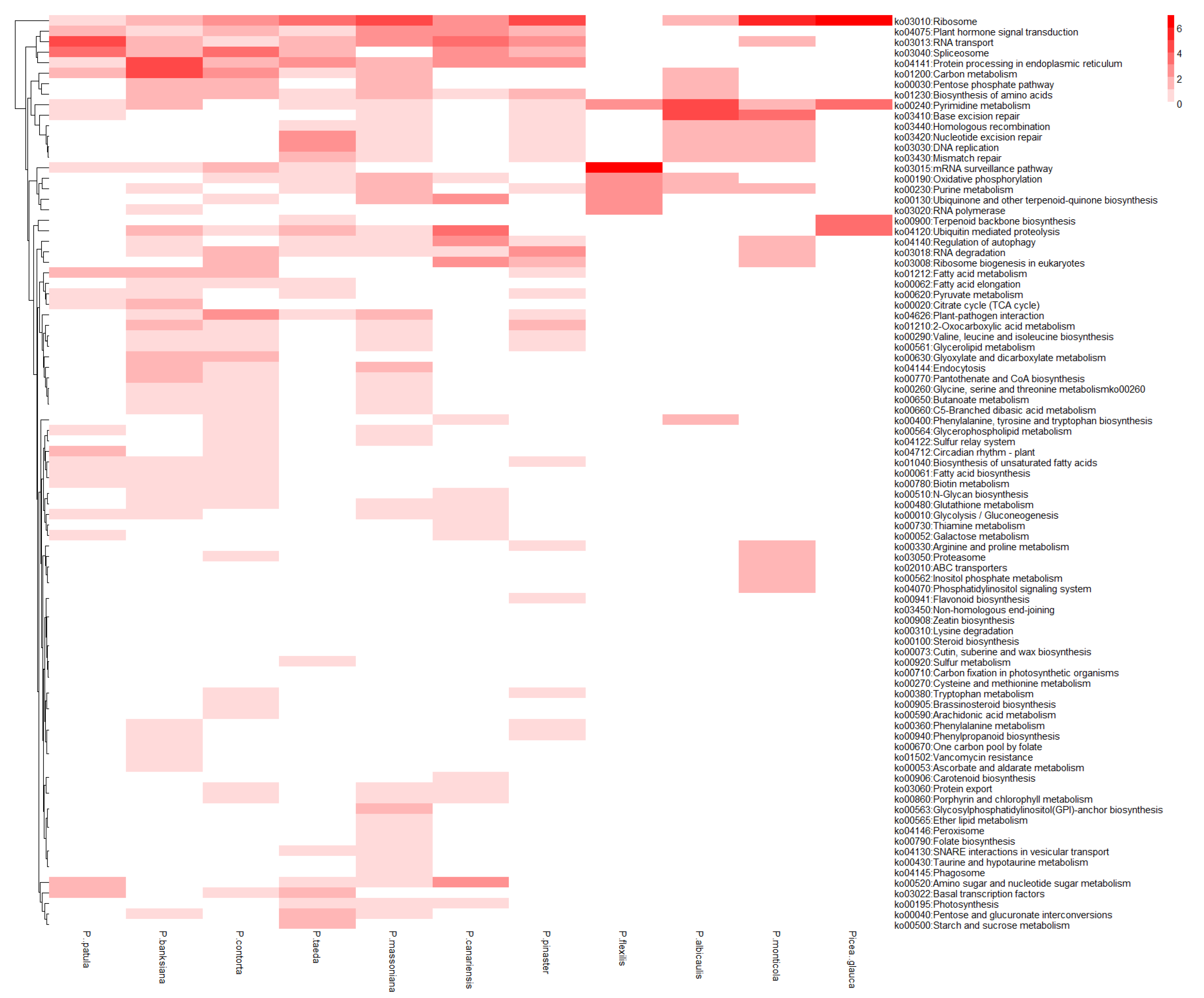 Forests 10 00942 g006