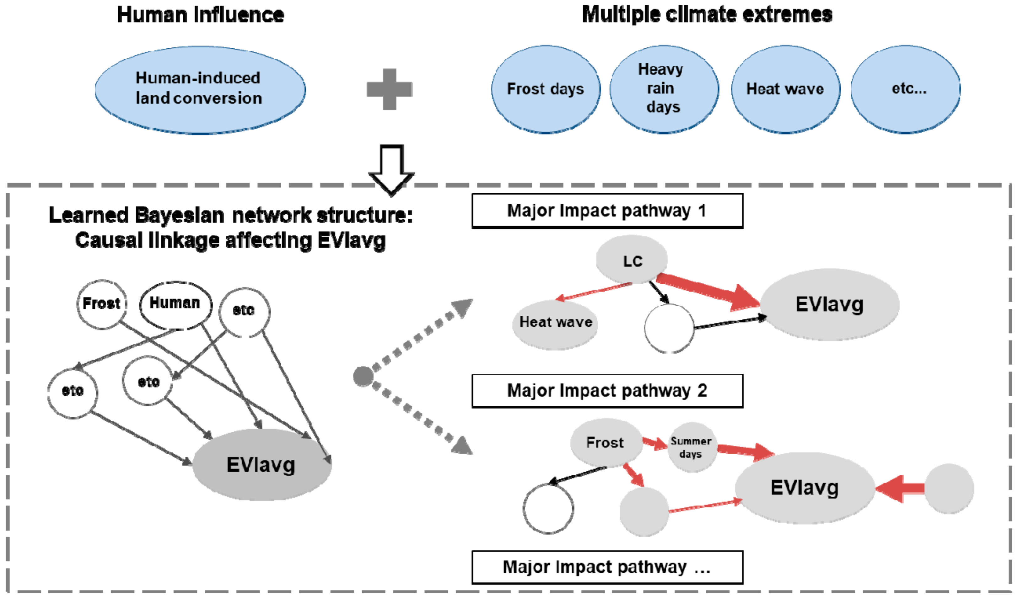 Forests | Free Full-Text | Understanding The Critical Impact Path On ...