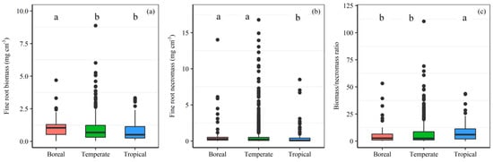 Forests | Free Full-Text | The Dynamics of Living and Dead Fine Roots