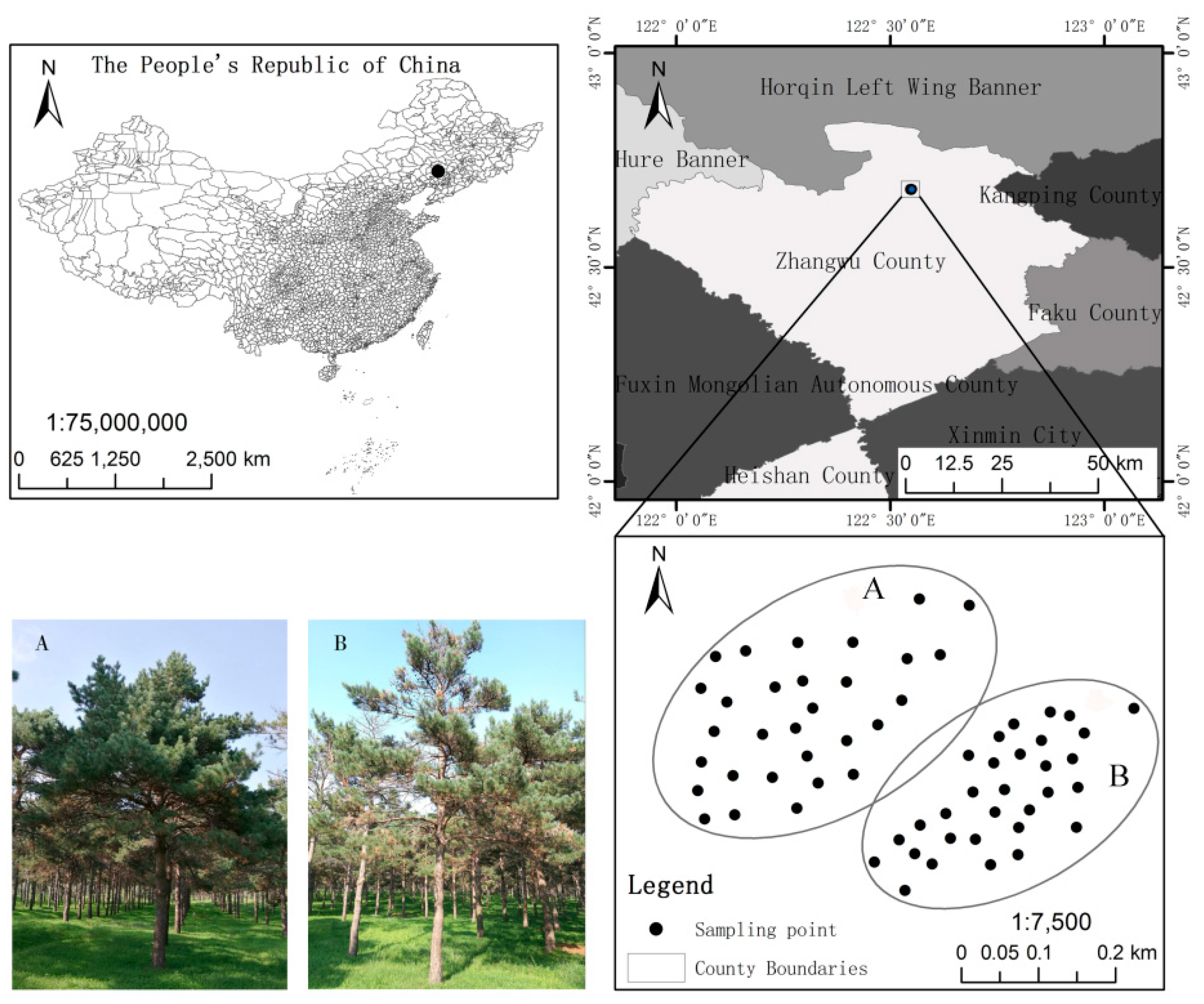 Forests 10 00954 g001