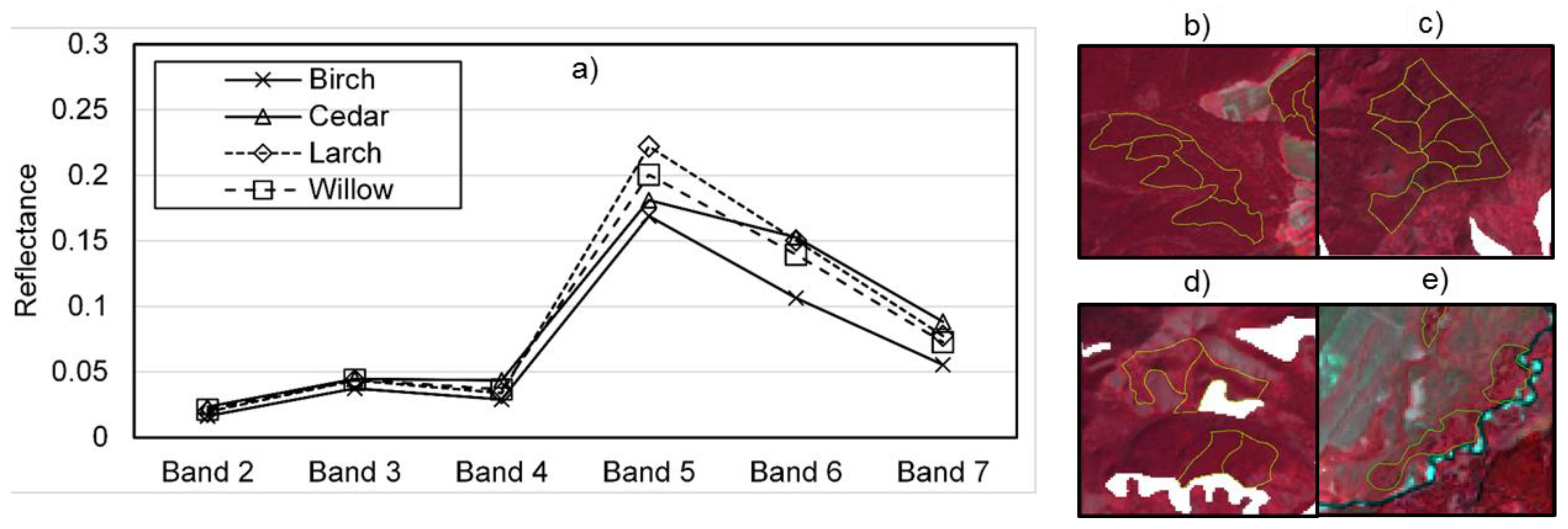 Forests 10 00961 g004