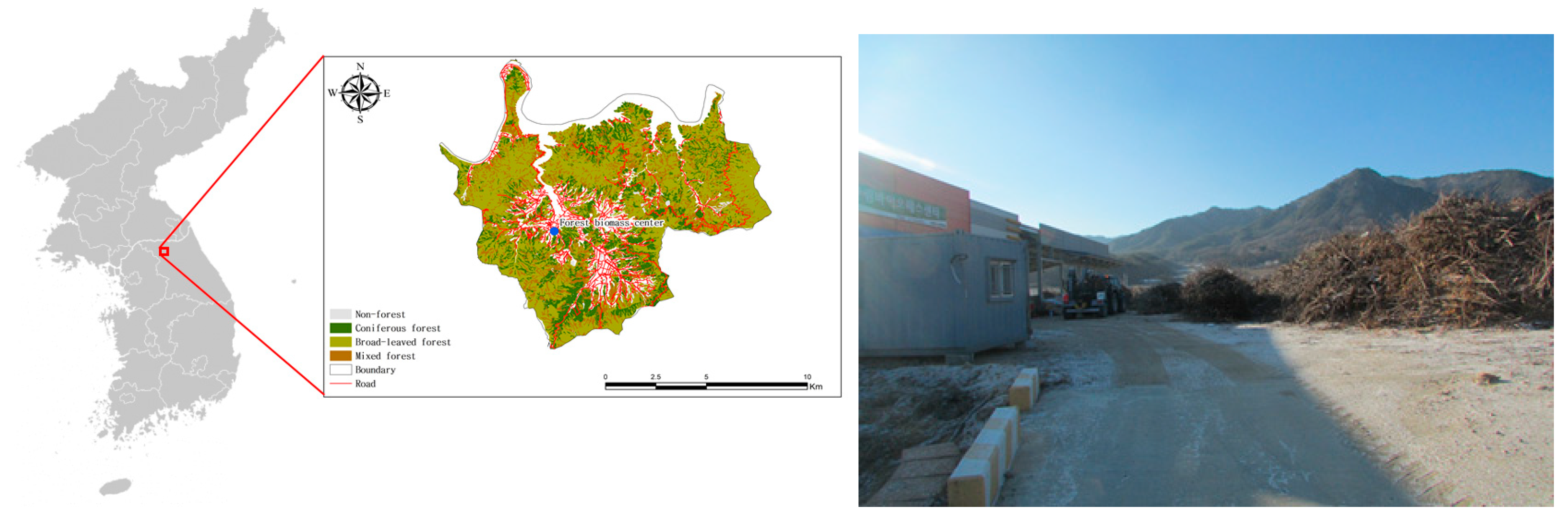 Forests 10 01029 g001 Forests 10 01029 g001