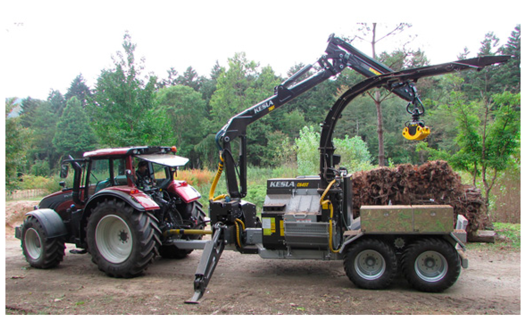 Forests 10 01029 g002 Forests 10 01029 g002