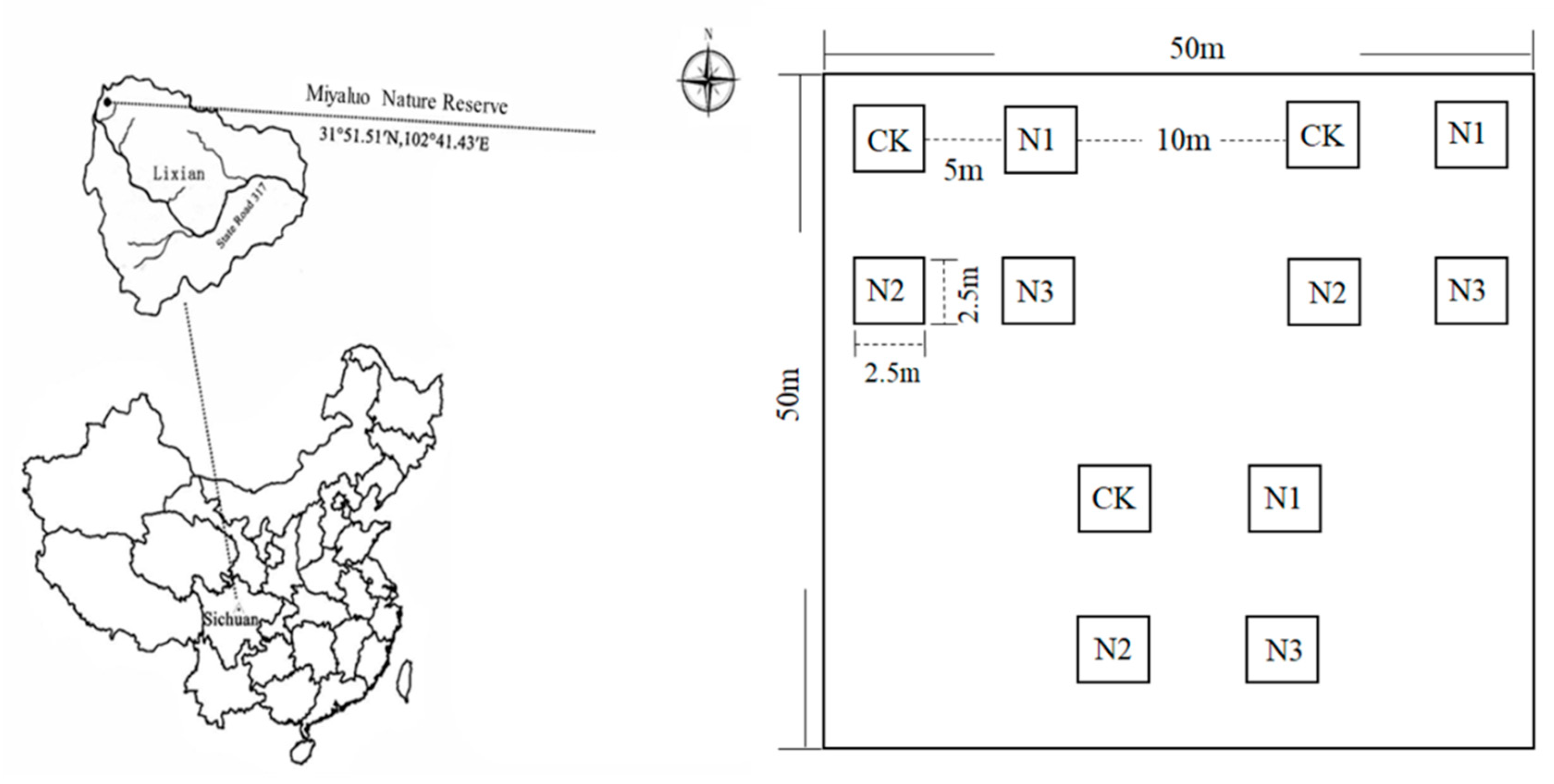 Forests 10 01038 g001