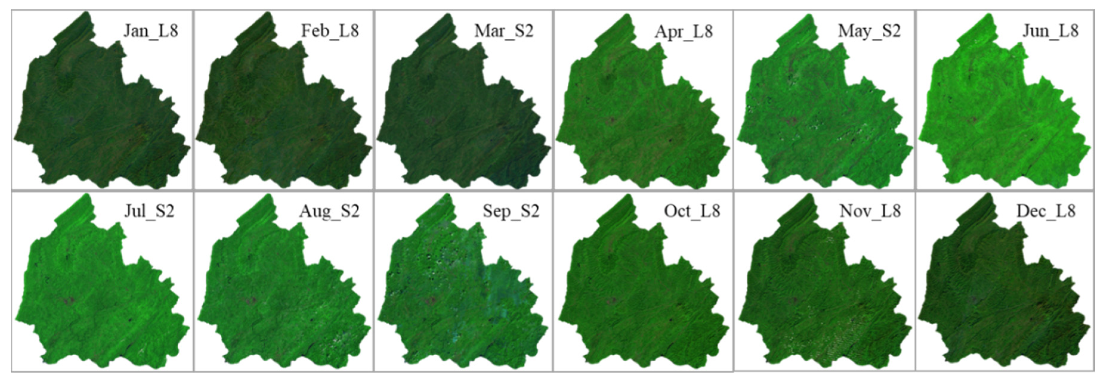 Forests 10 01040 g003
