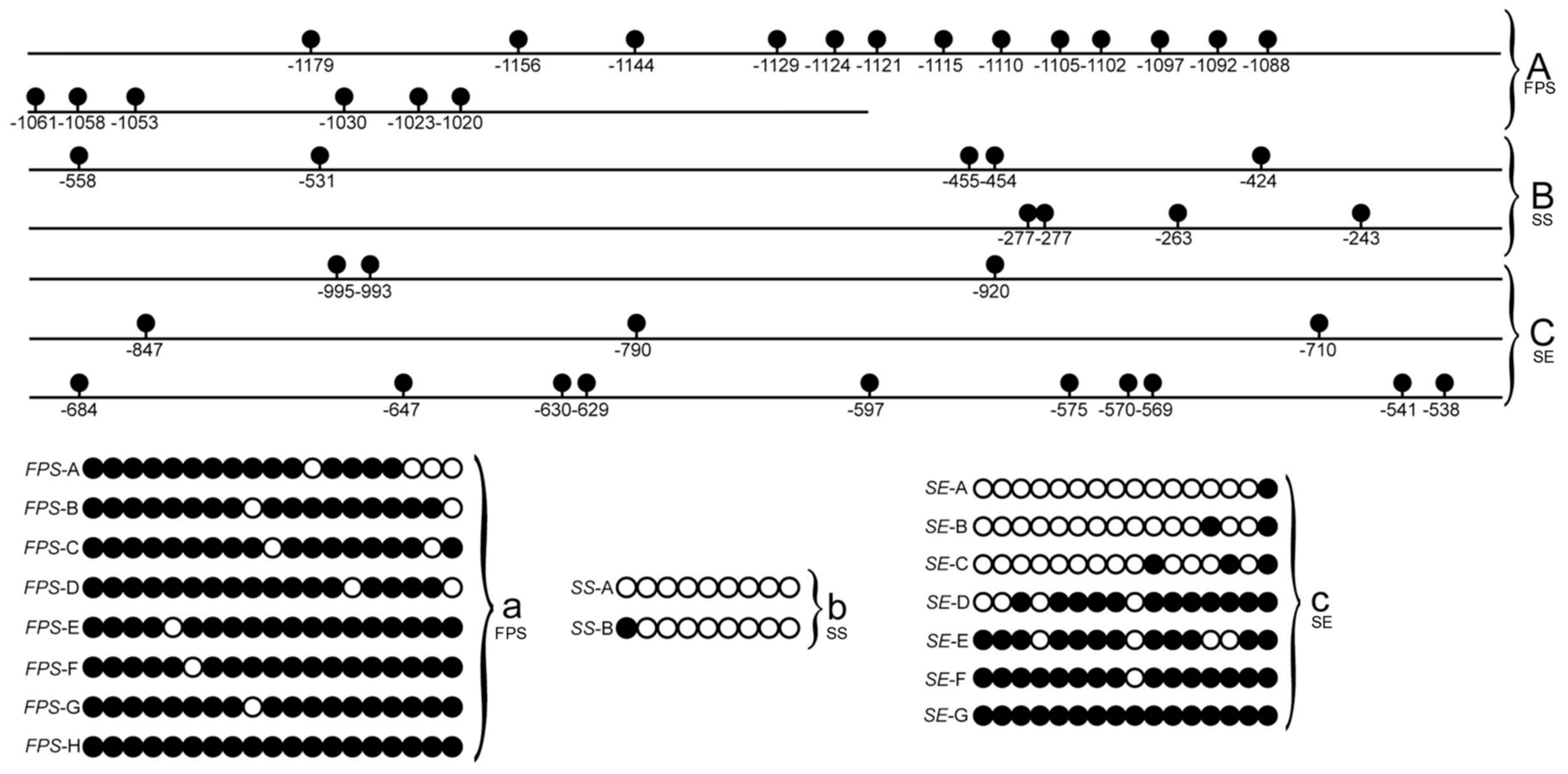 Forests 10 01053 g001 Forests 10 01053 g001