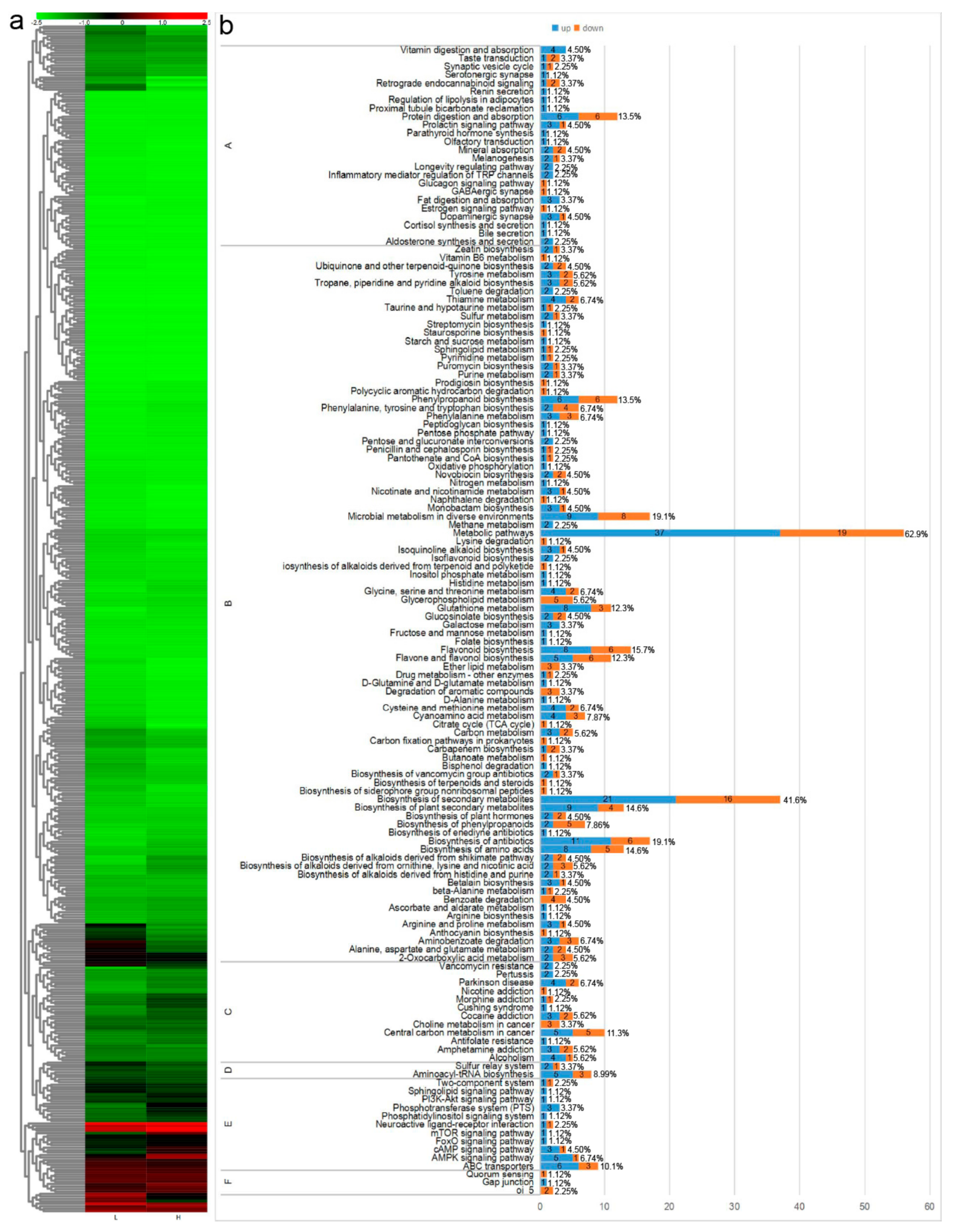 Forests 10 01053 g003 Forests 10 01053 g003