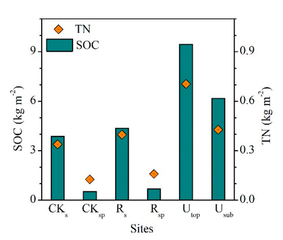 Forests Free Full Text Slow Recovery Of Major Soil Nutrient Pools During Reclamation In A Sub Alpine Copper Mine Area Southeastern Edge Of The Tibetan Plateau Sichuan Province Sw China Html