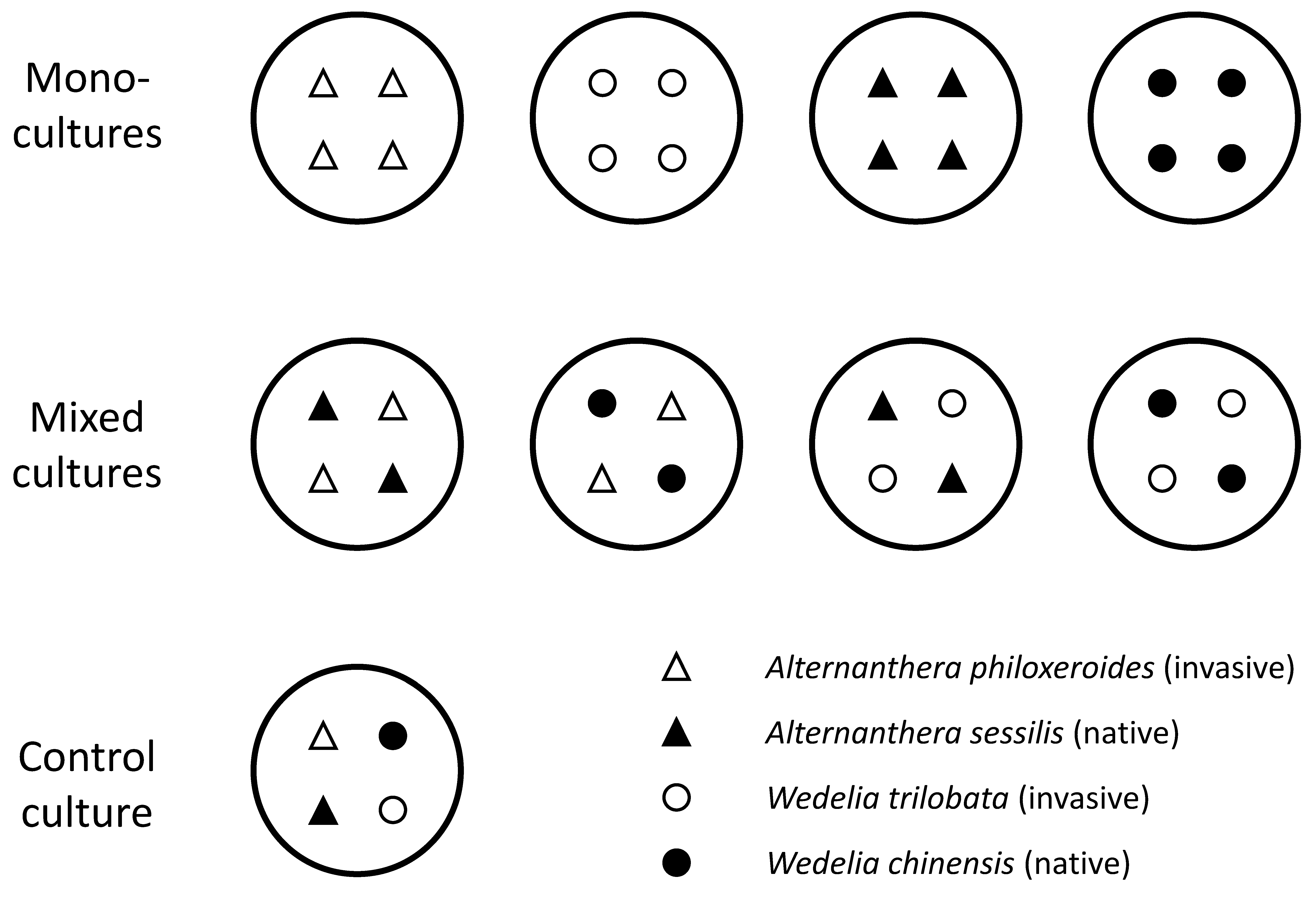 Forests 10 01075 g001