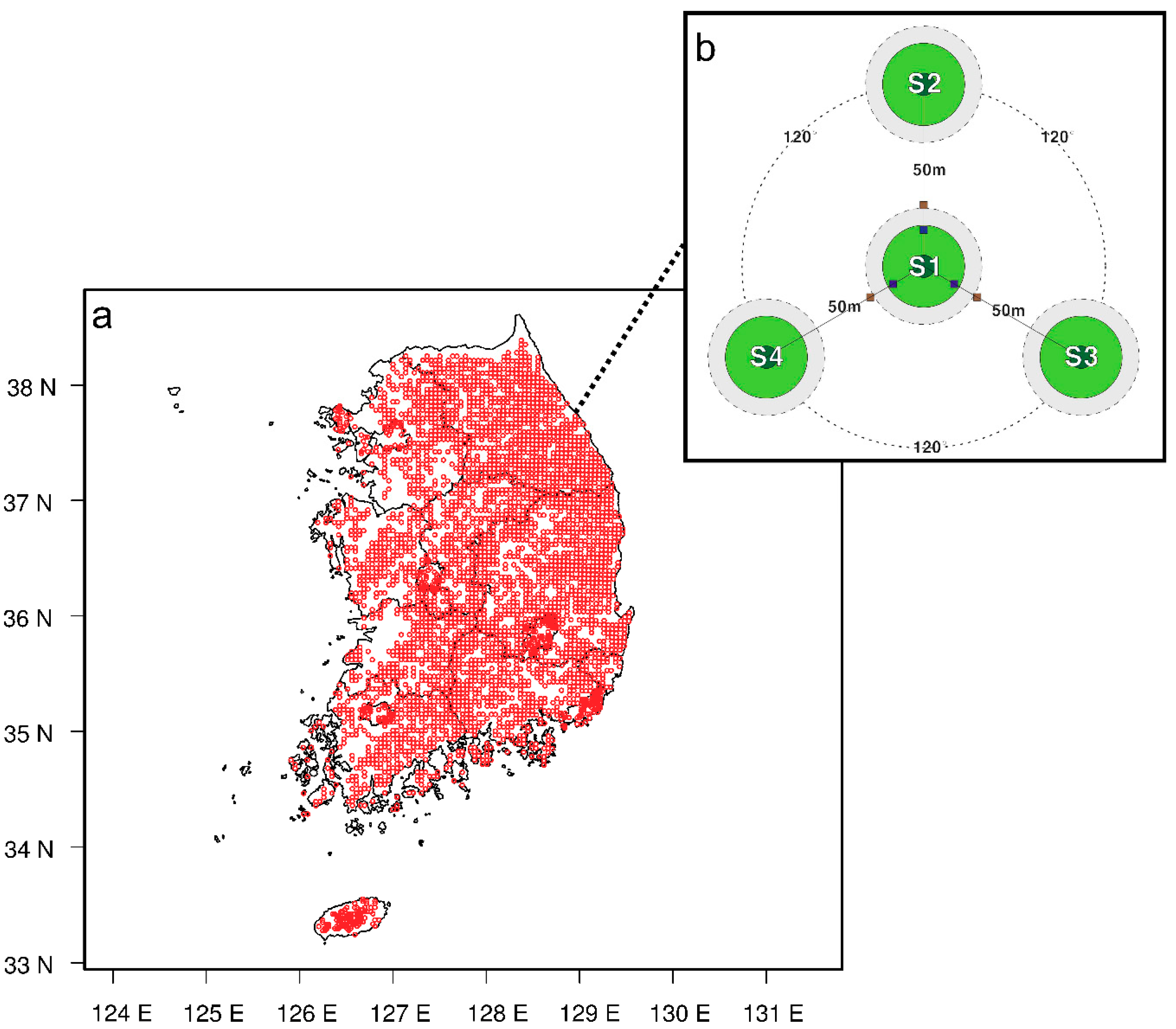 Forests 10 01113 g001