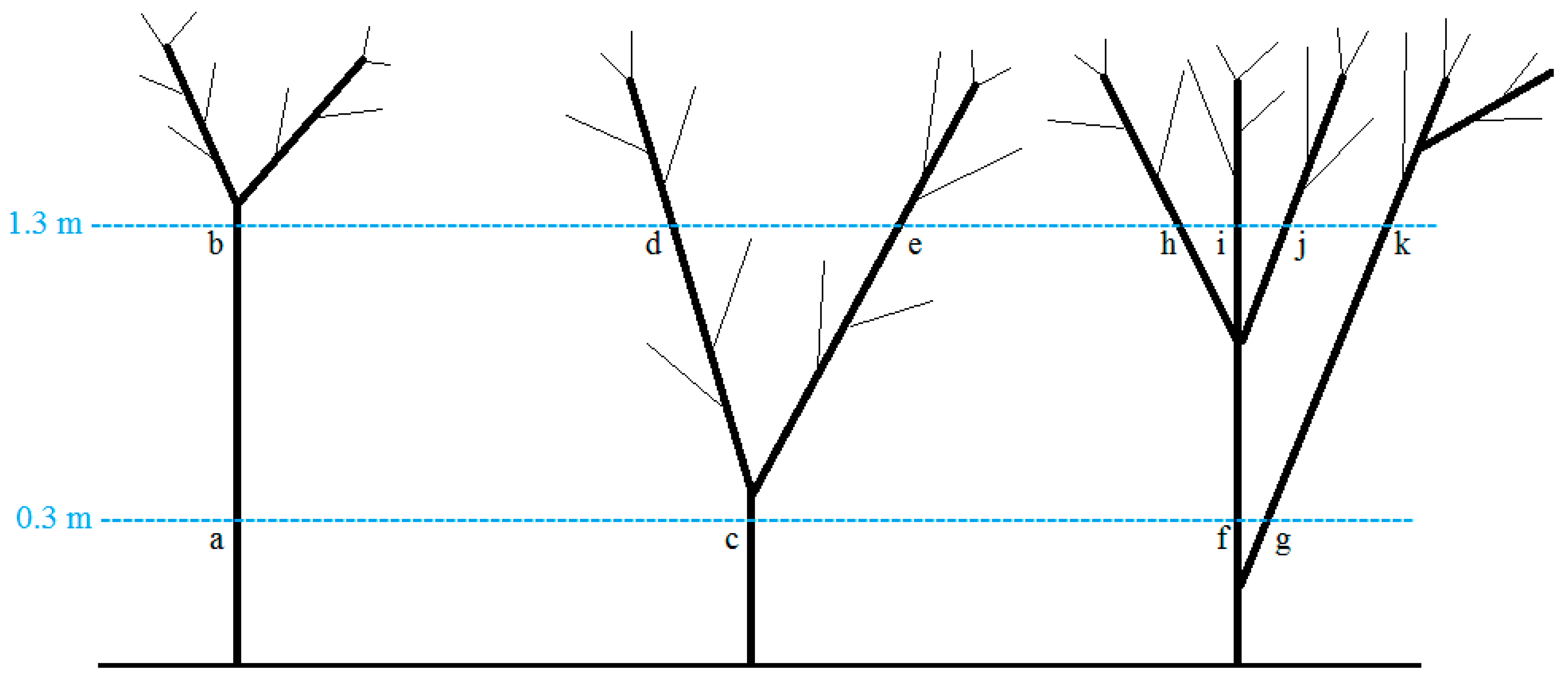 Forests 10 01114 g002