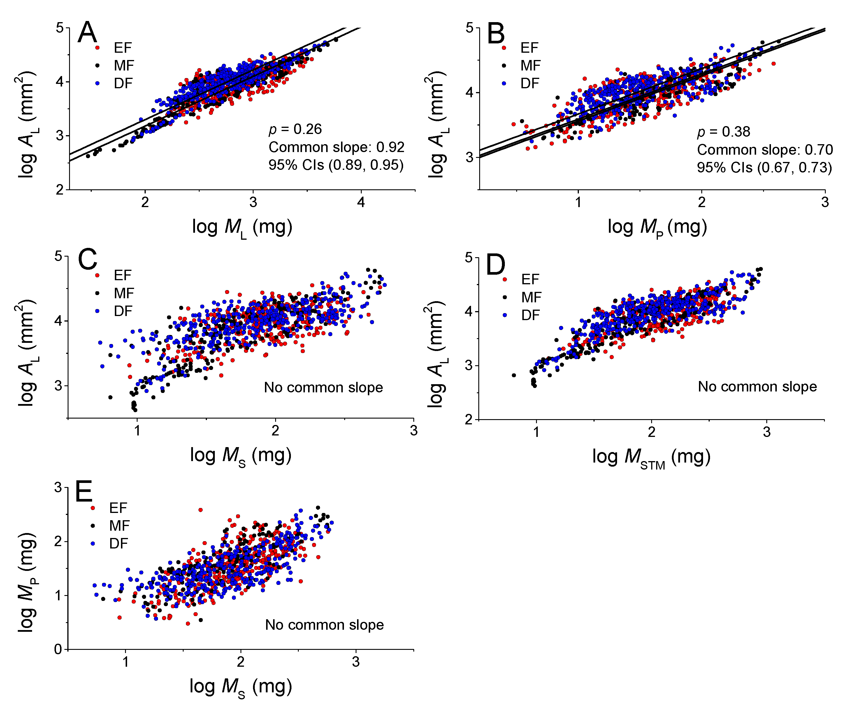 Forests 10 01138 g002