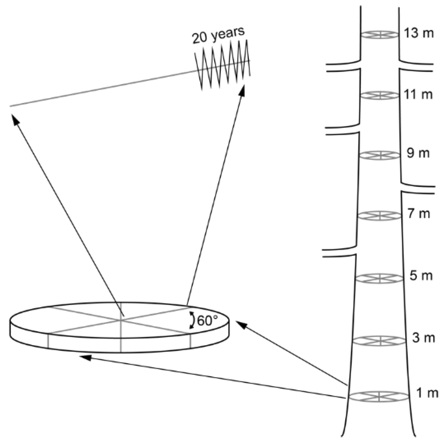 Forests 11 00117 g001 Forests 11 00117 g001