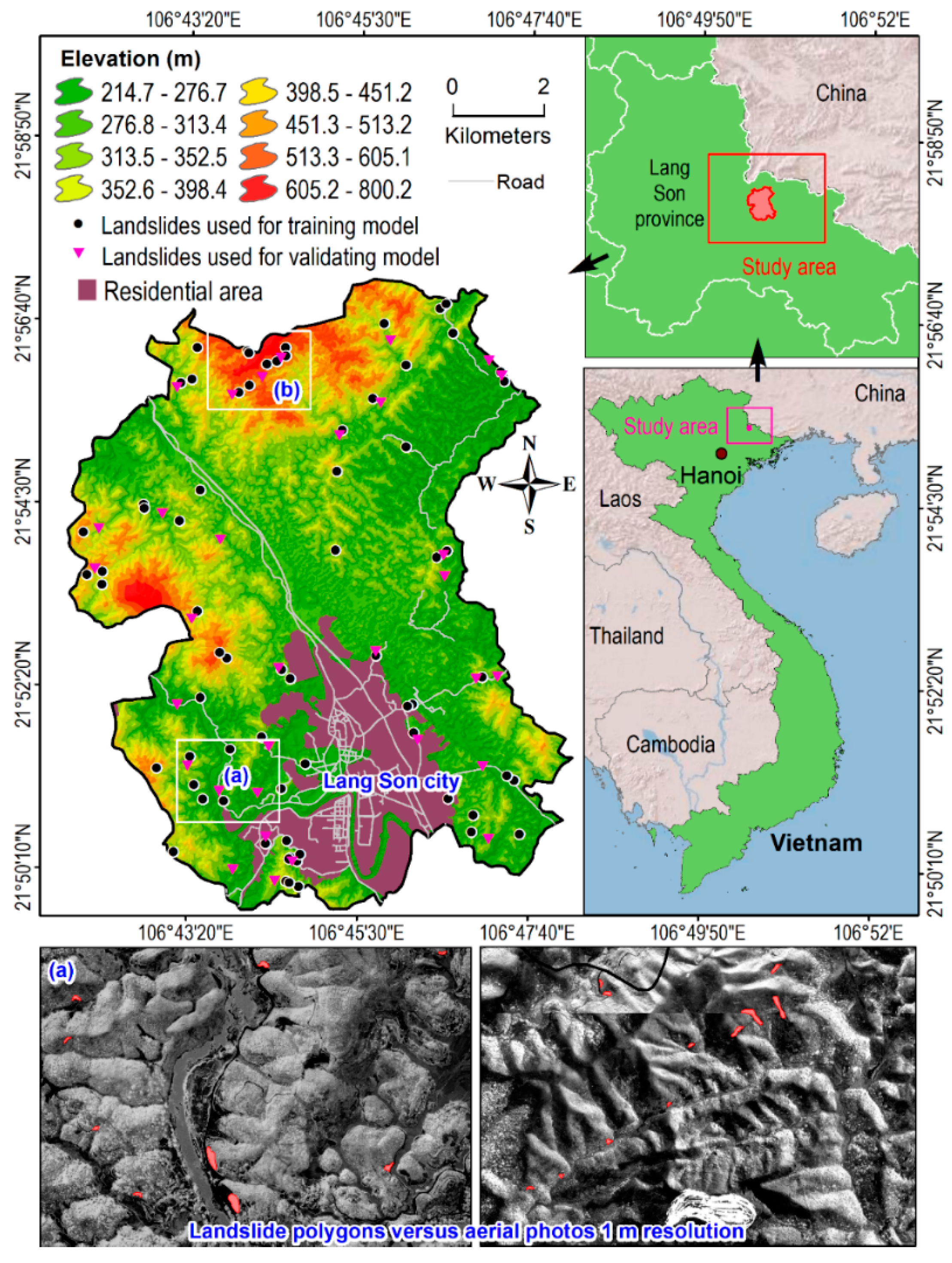 Forests 11 00118 g001 Forests 11 00118 g001