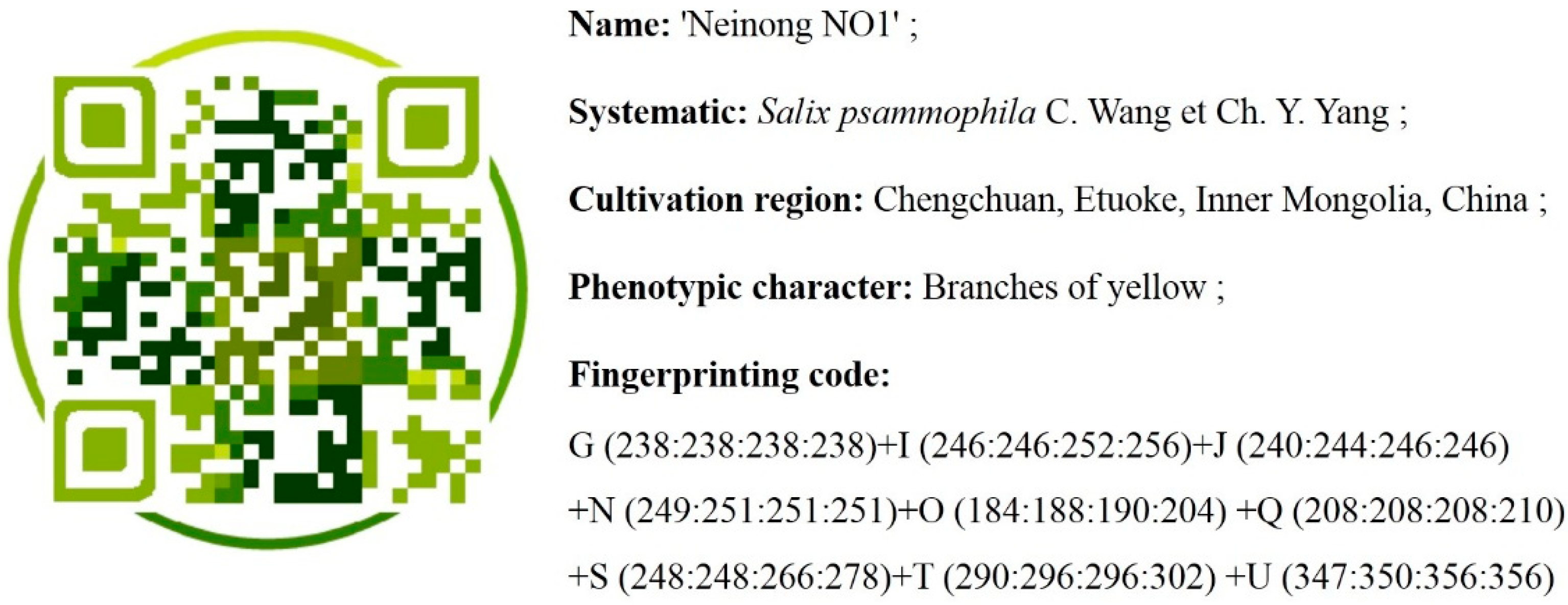 Forests 11 00176 g004