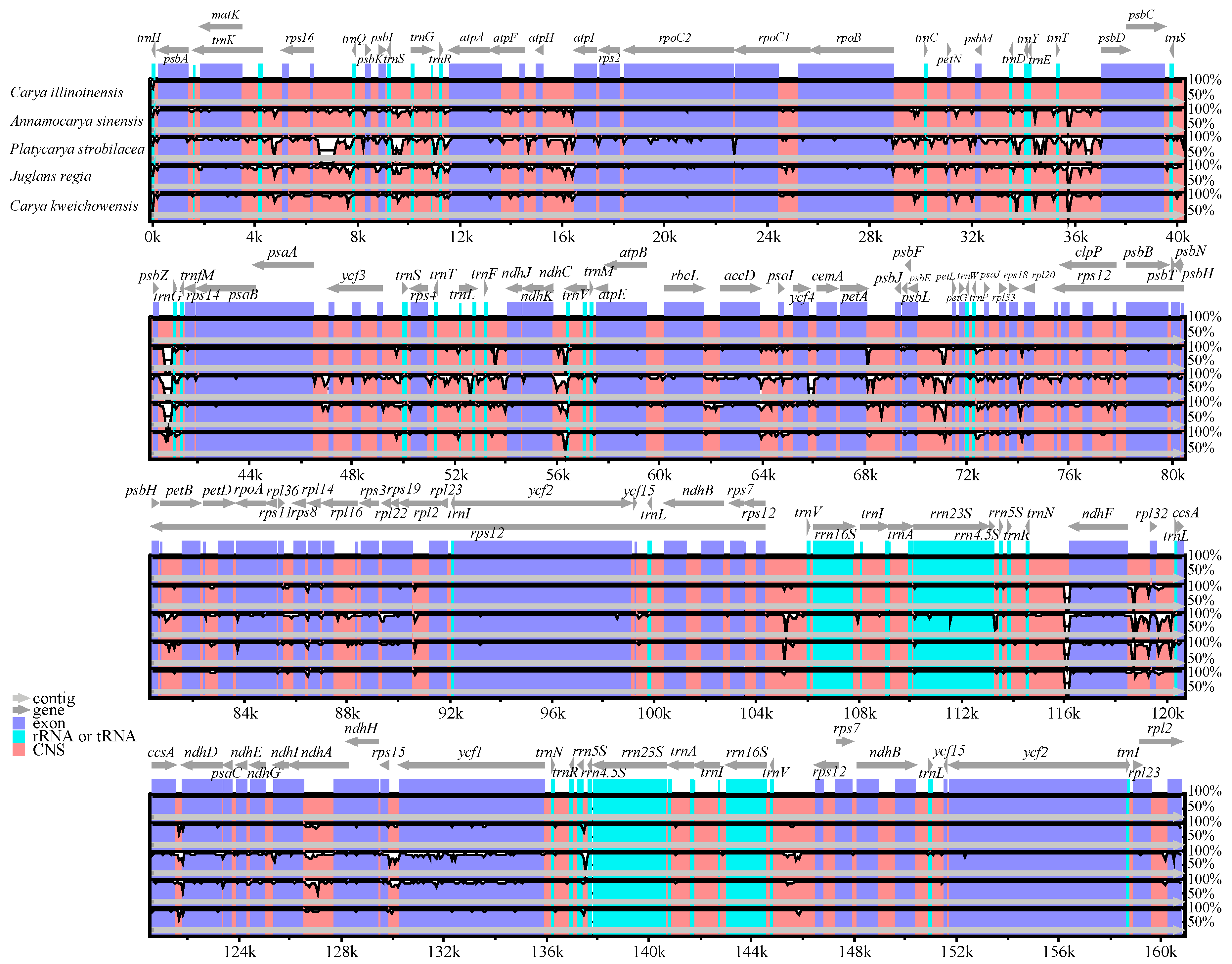 Forests 11 00207 g003