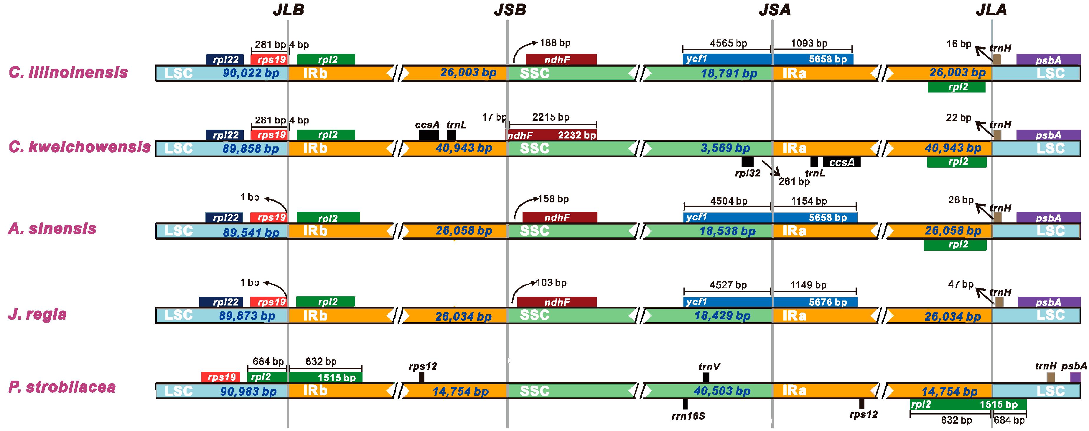 Forests 11 00207 g004