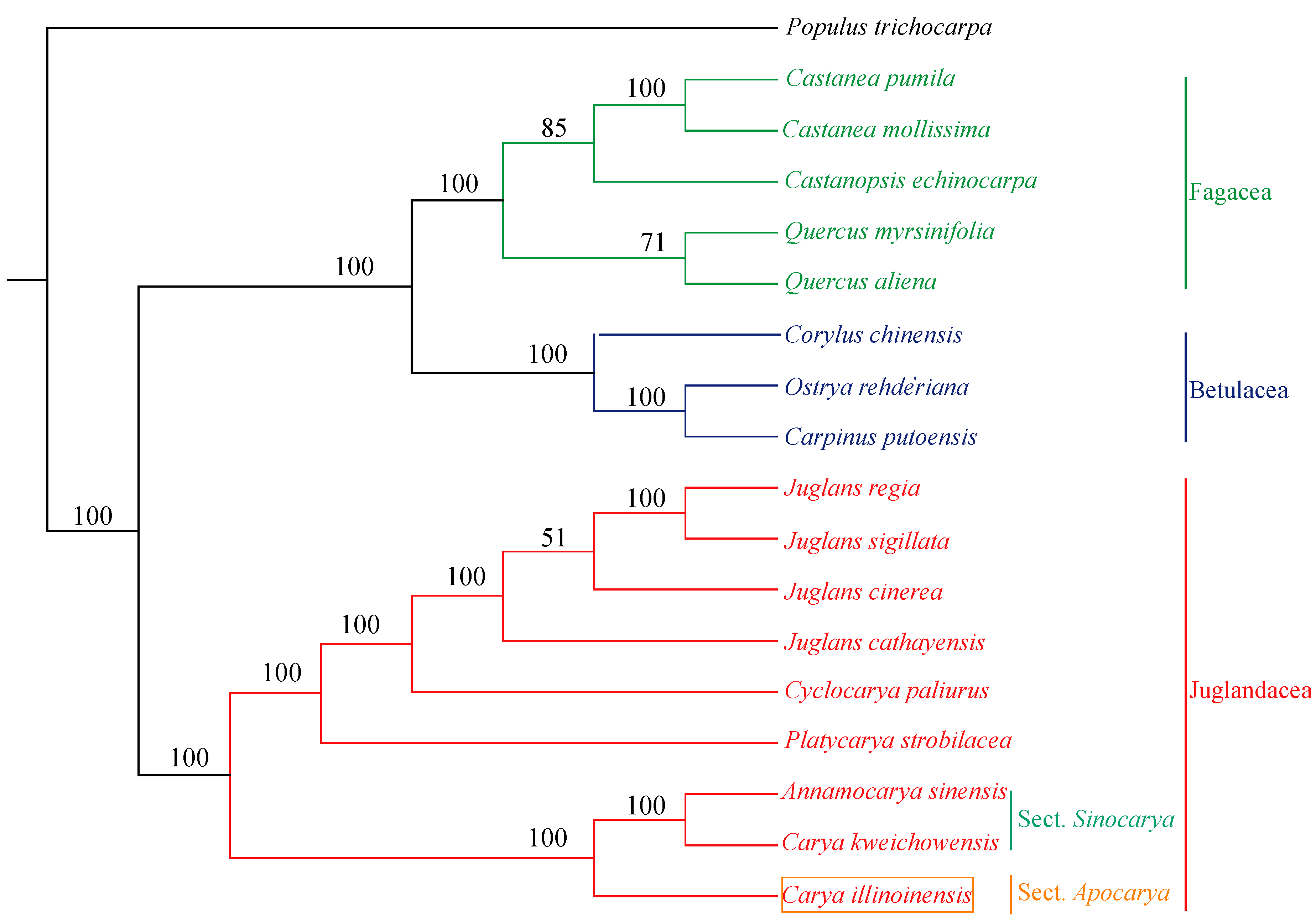 Forests 11 00207 g006