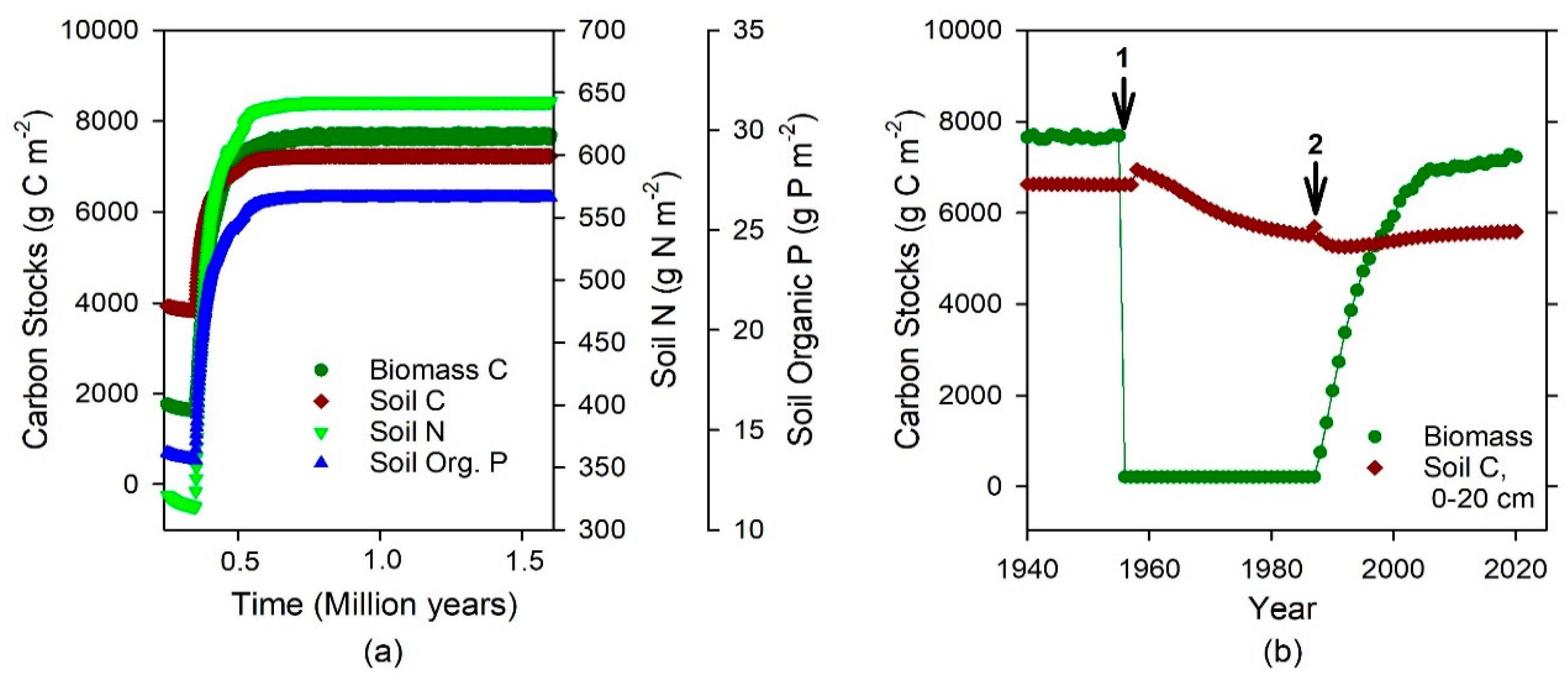 Forests 11 00213 g001
