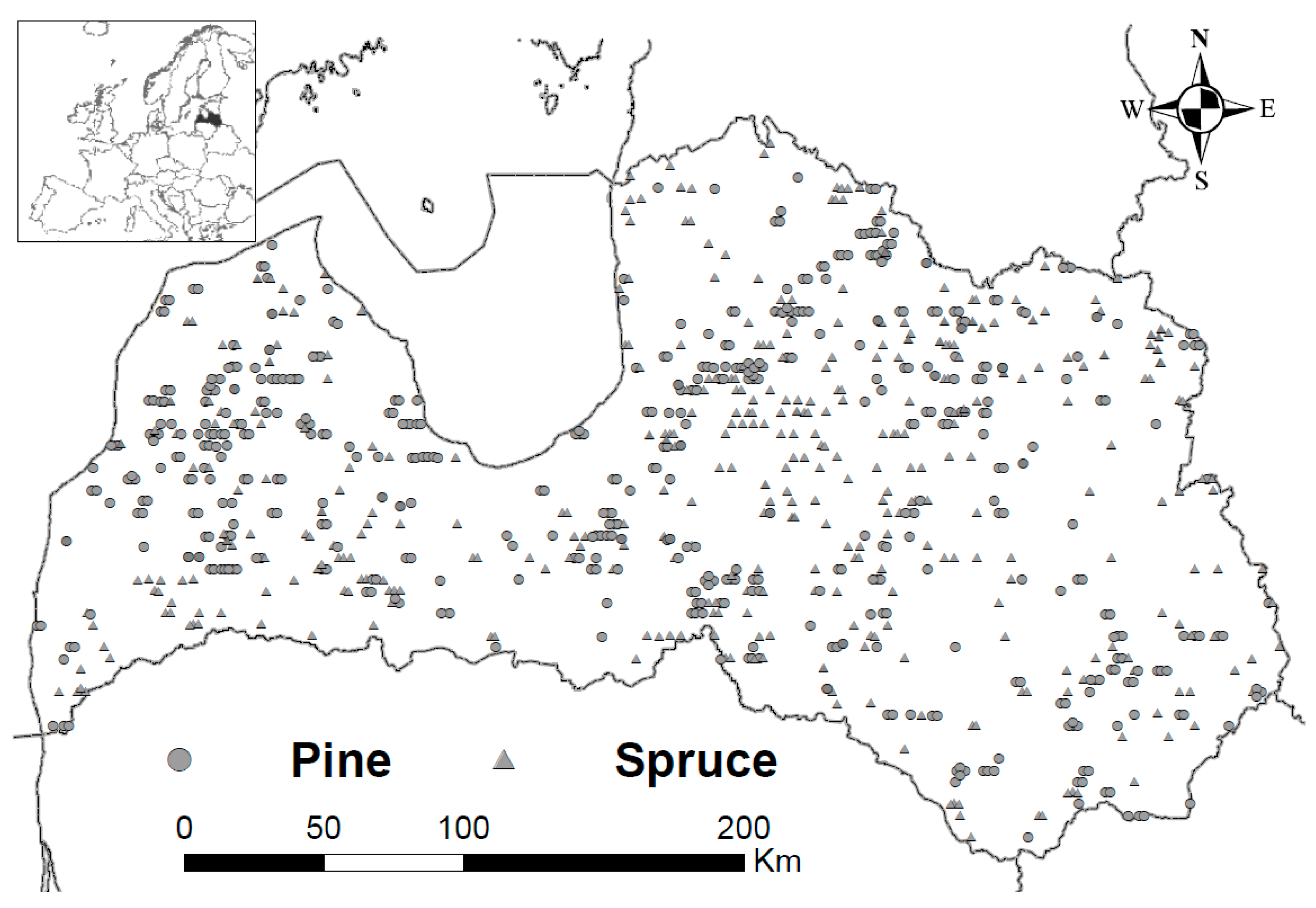 Forests | Free Full-Text | Advance Regeneration of Norway Spruce and Scots  Pine in Hemiboreal Forests in Latvia | HTML