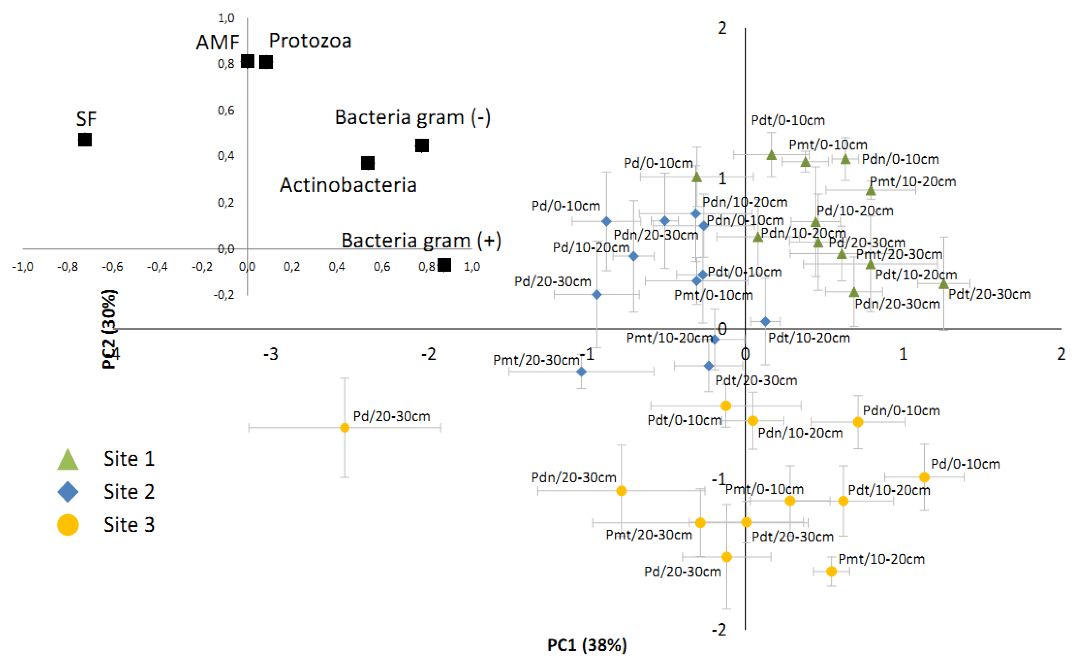 Forests 11 00262 g005 Forests 11 00262 g005