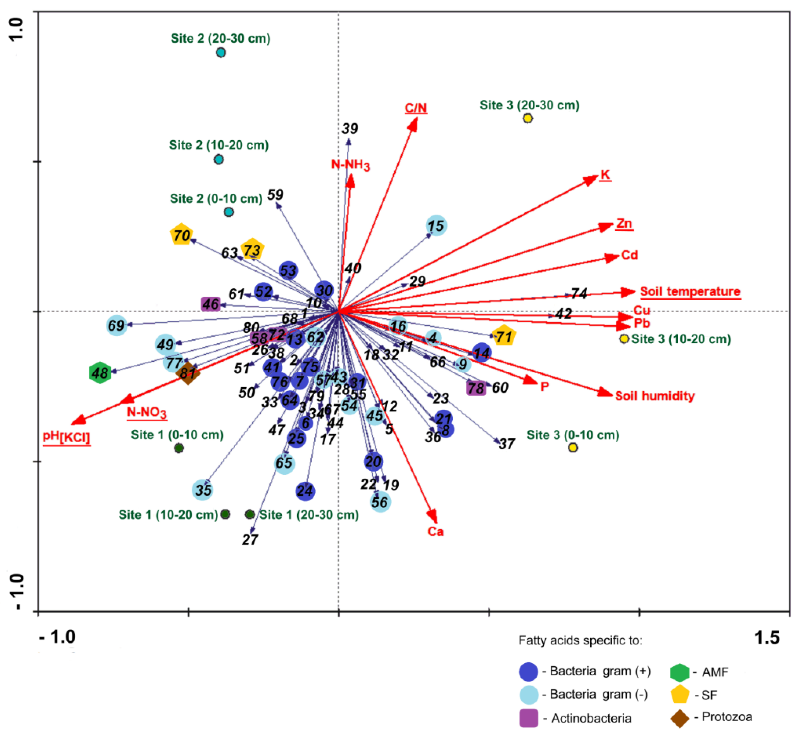 Forests 11 00262 g006 Forests 11 00262 g006