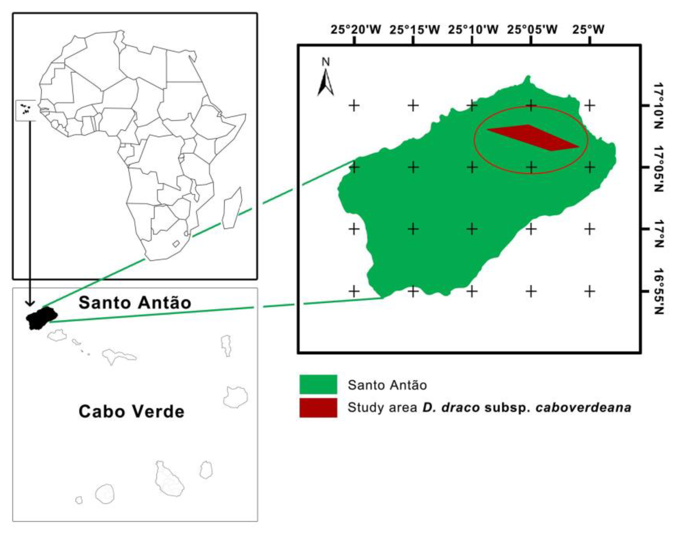 Forests Free Full Text First Age Estimation Model For Dracaena Ombet And Dracaena Draco Subsp Caboverdeana Html