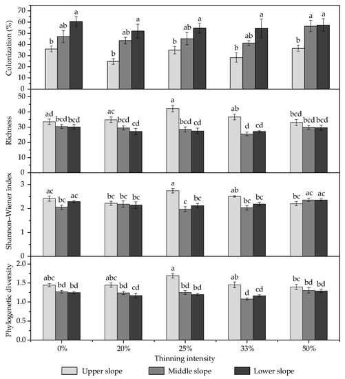 Forests Free Full Text Slope Position Rather Than Thinning Intensity Affects Arbuscular Mycorrhizal Fungi Amf Community In Chinese Fir Plantations Html