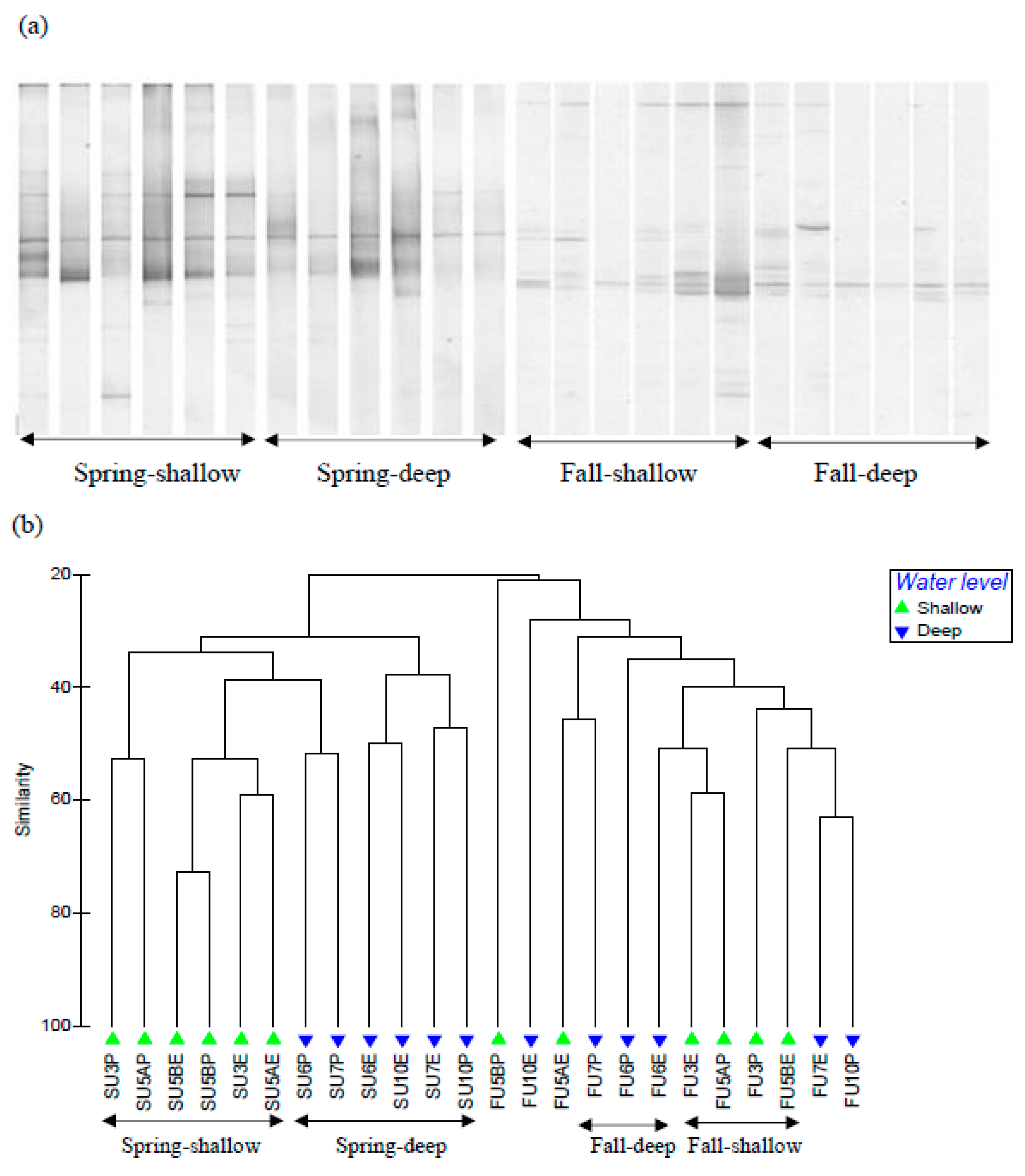 Forests 11 00275 g005