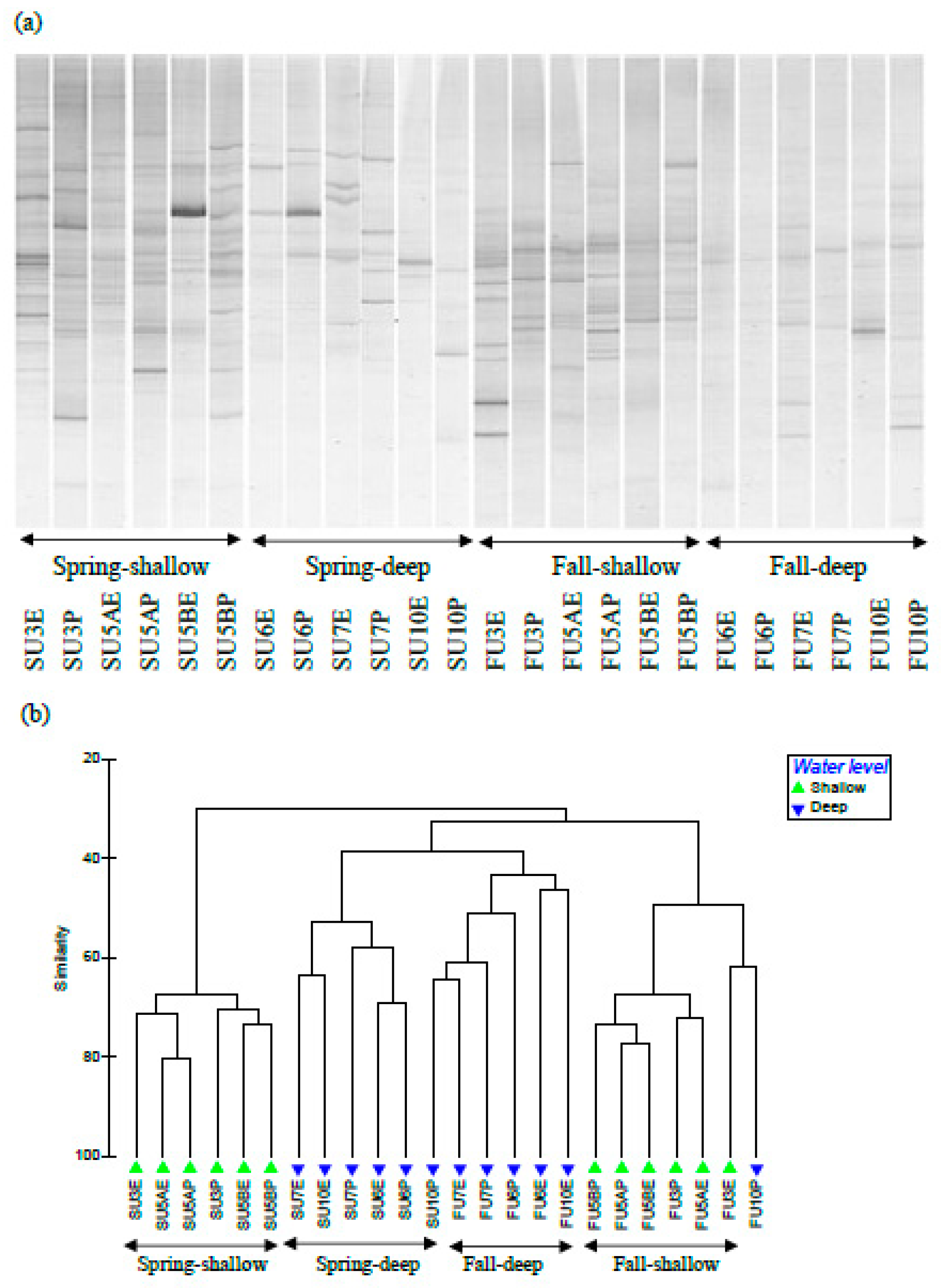 Forests 11 00275 g007