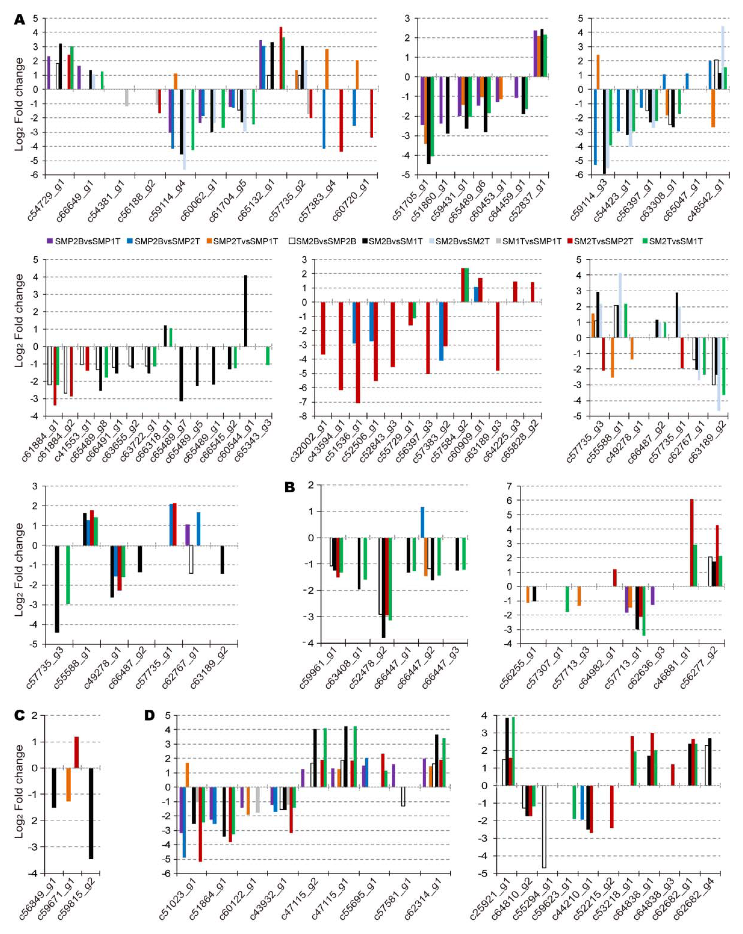 Forests 11 00287 g003 Forests 11 00287 g003