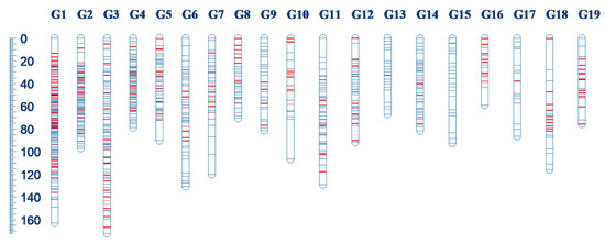 Linkage Mapping in Genetics