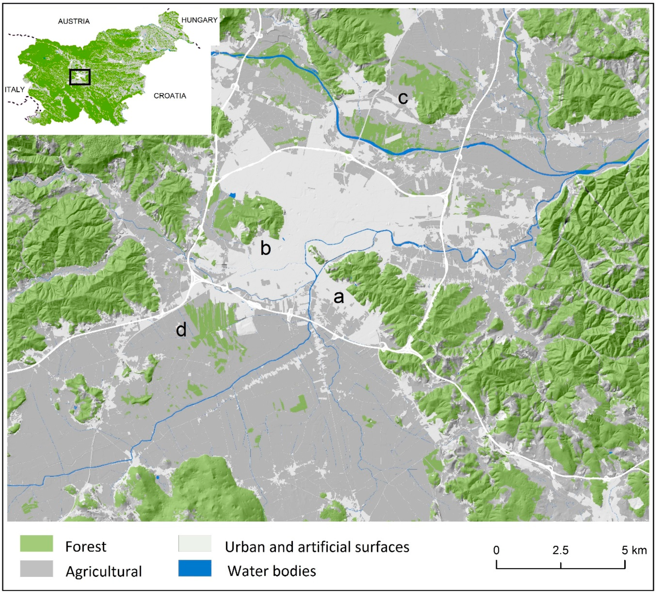 Forests | Free Full-Text | Evaluation of Forest Edge Structure and  Stability in Peri-Urban Forests