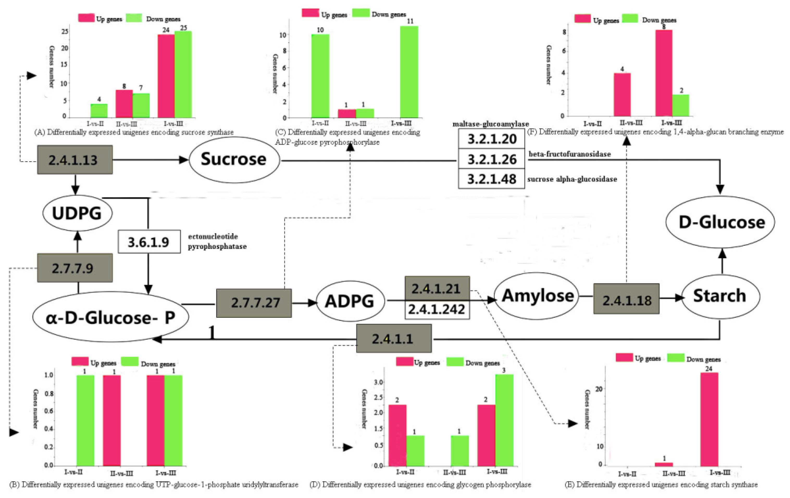 Forests 11 00388 g006