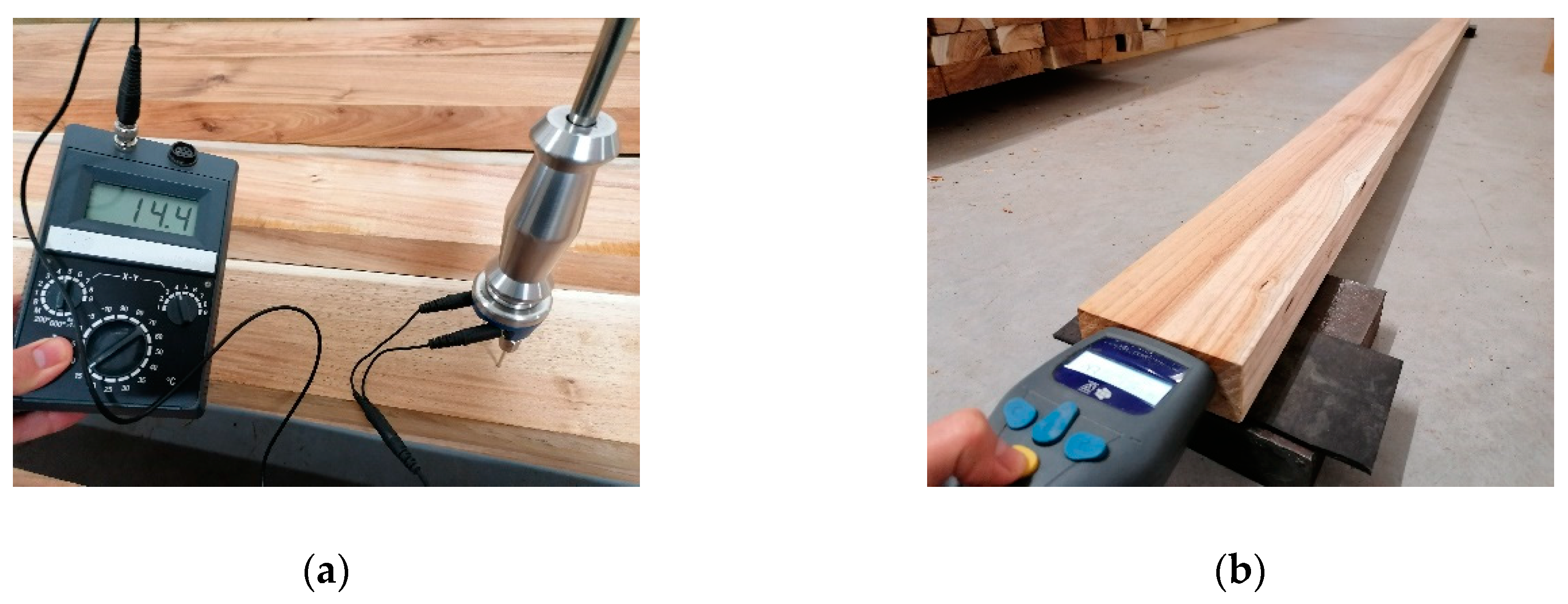 Forests 11 00418 g002 Forests 11 00418 g002