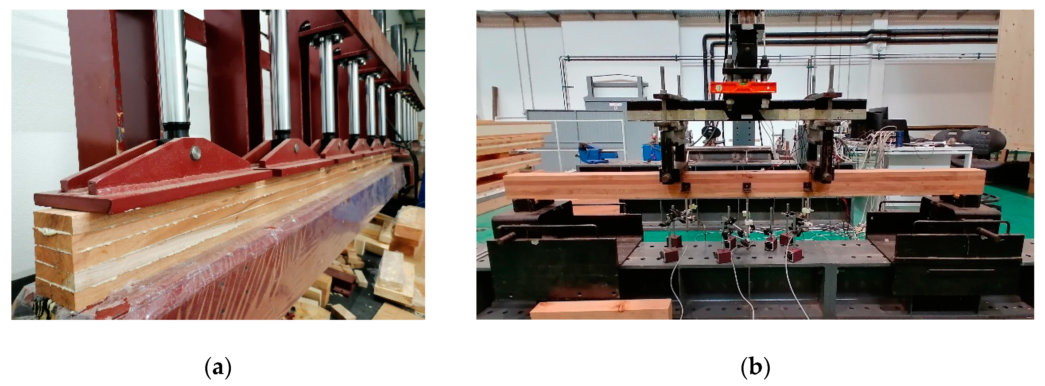 Forests 11 00418 g004 Forests 11 00418 g004