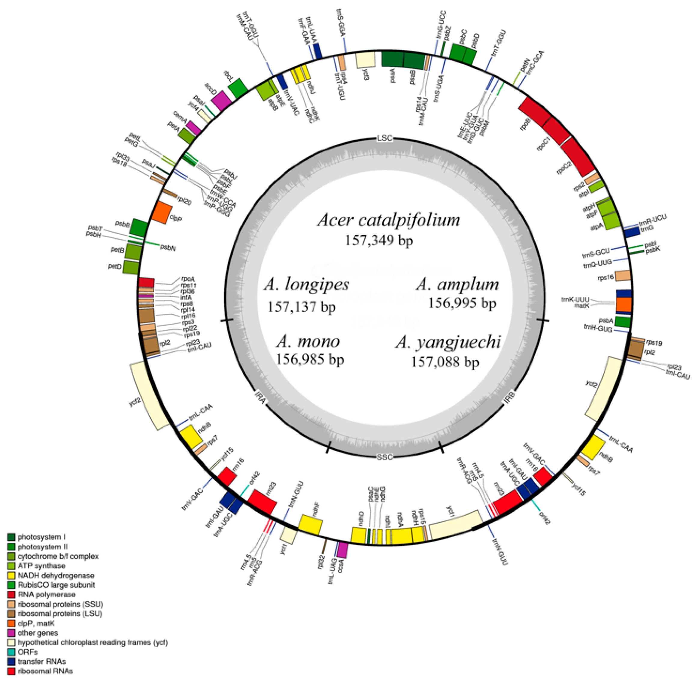 Forests 11 00462 g001