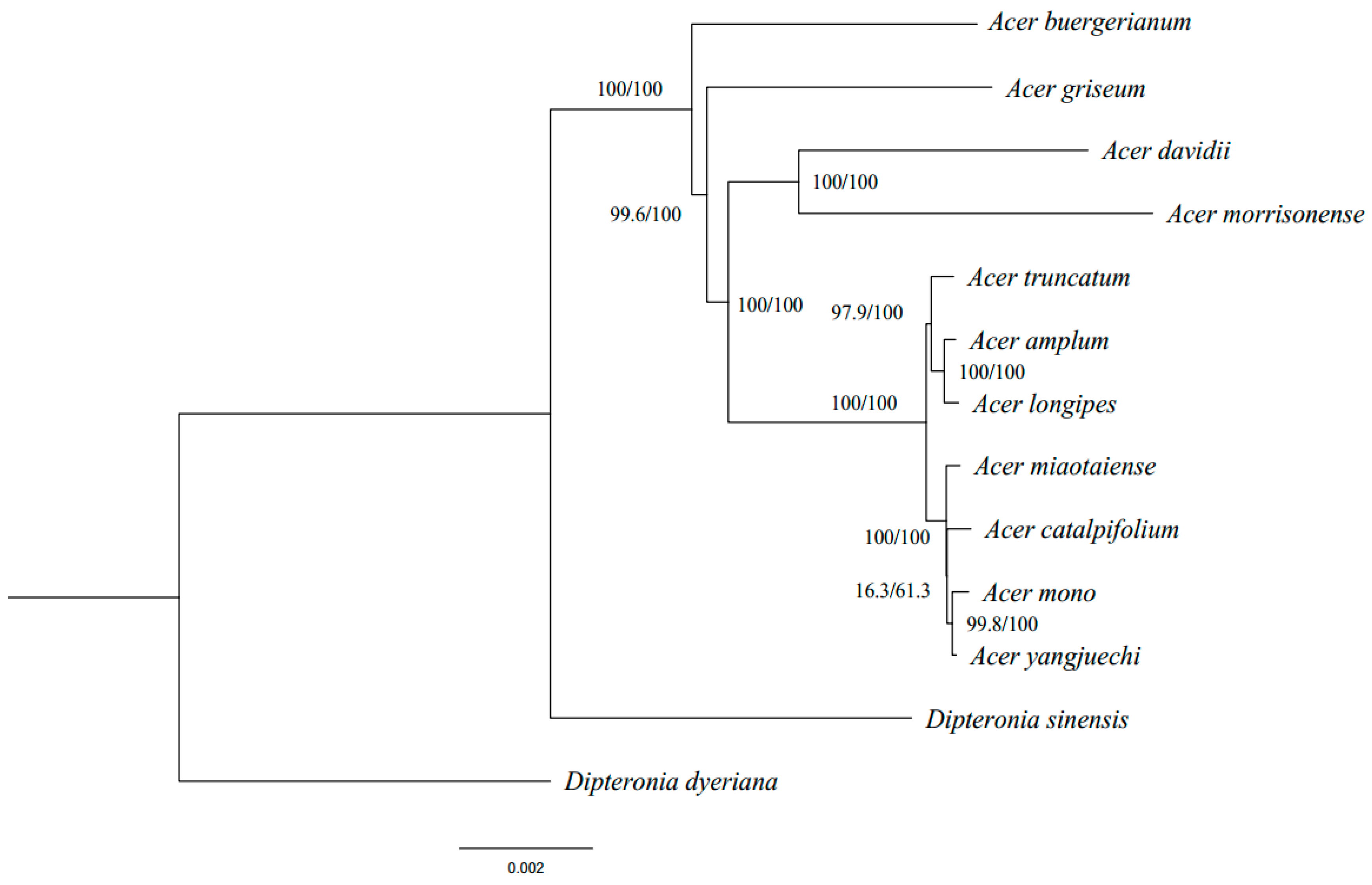 Forests 11 00462 g004