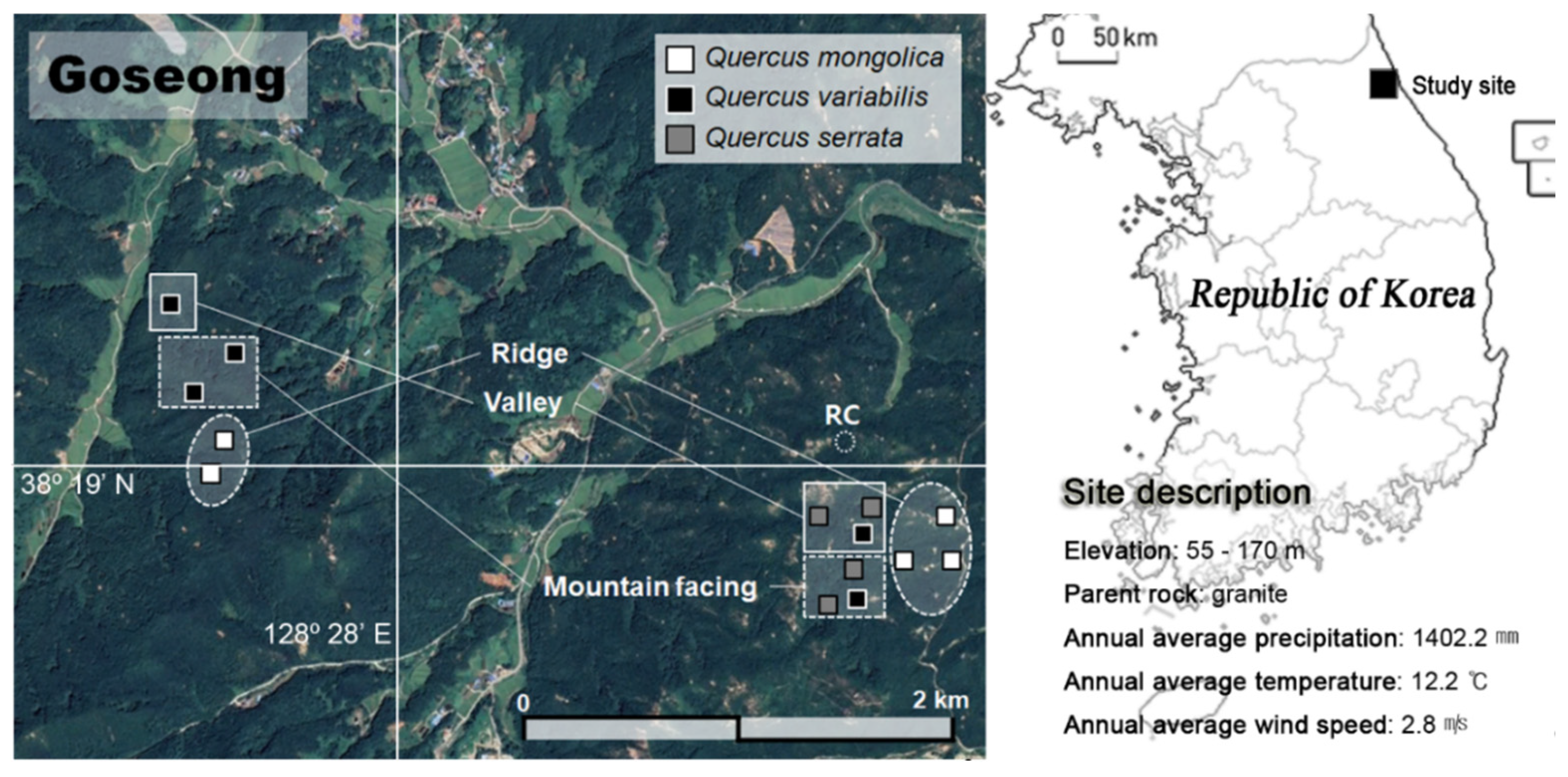 Forests 11 00515 g001