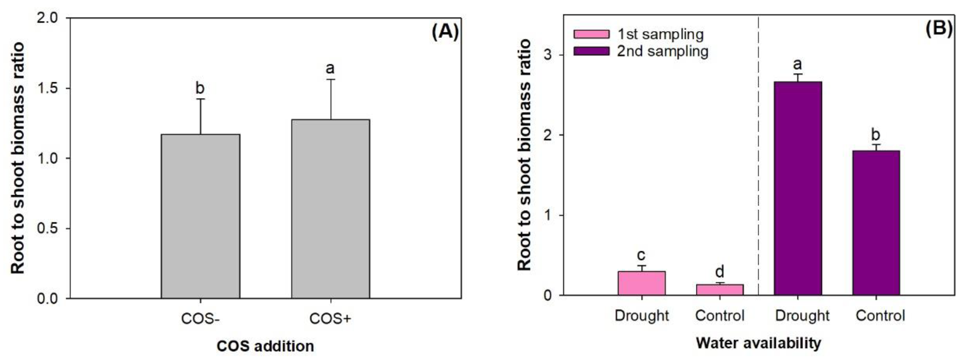 Forests 11 00526 g003