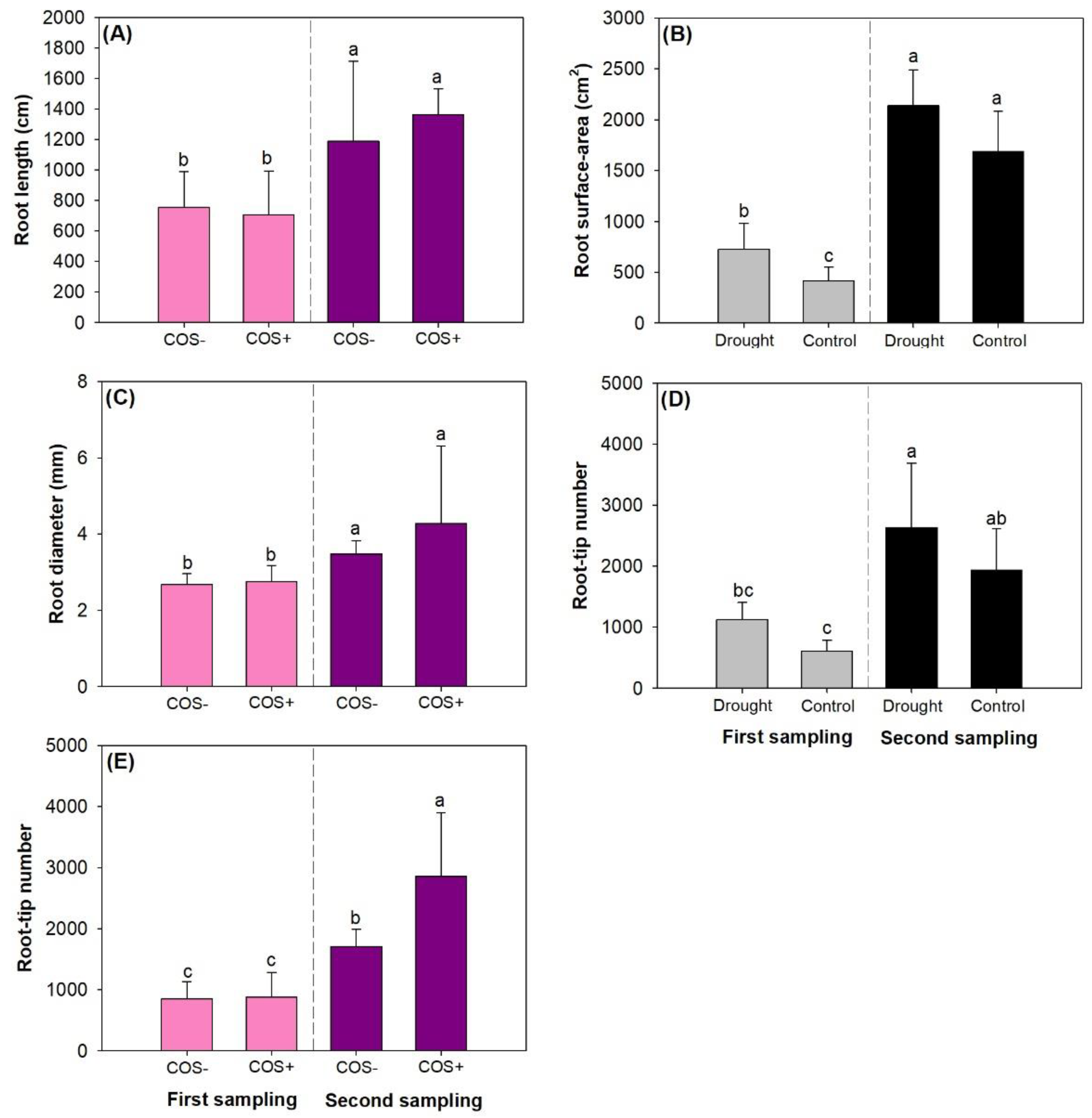 Forests 11 00526 g005